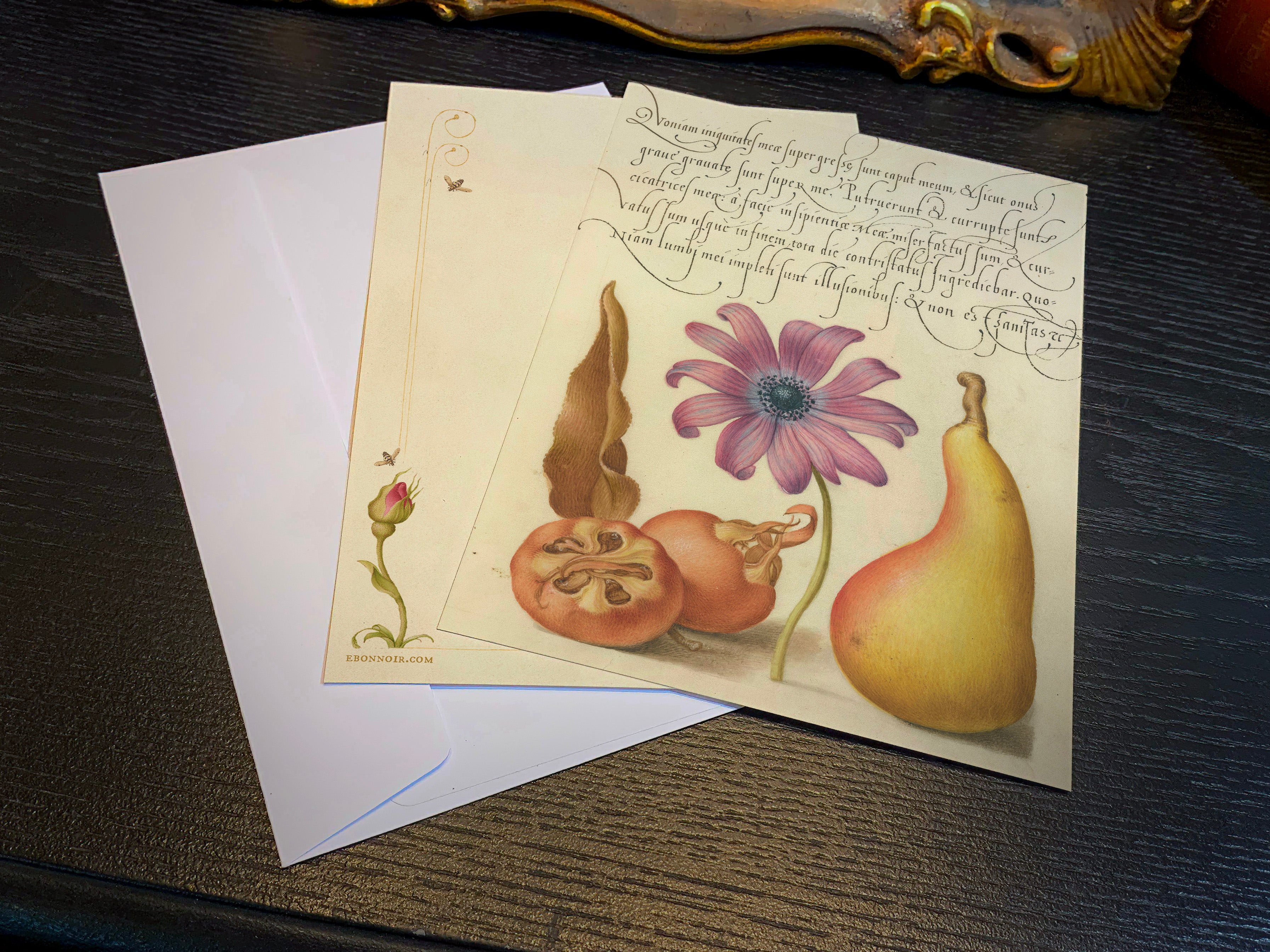 Model Book of Calligraphy, Medlar, Poppy Anemone, and Pear, 5in x 7in Everyday Notecards With White Envelopes