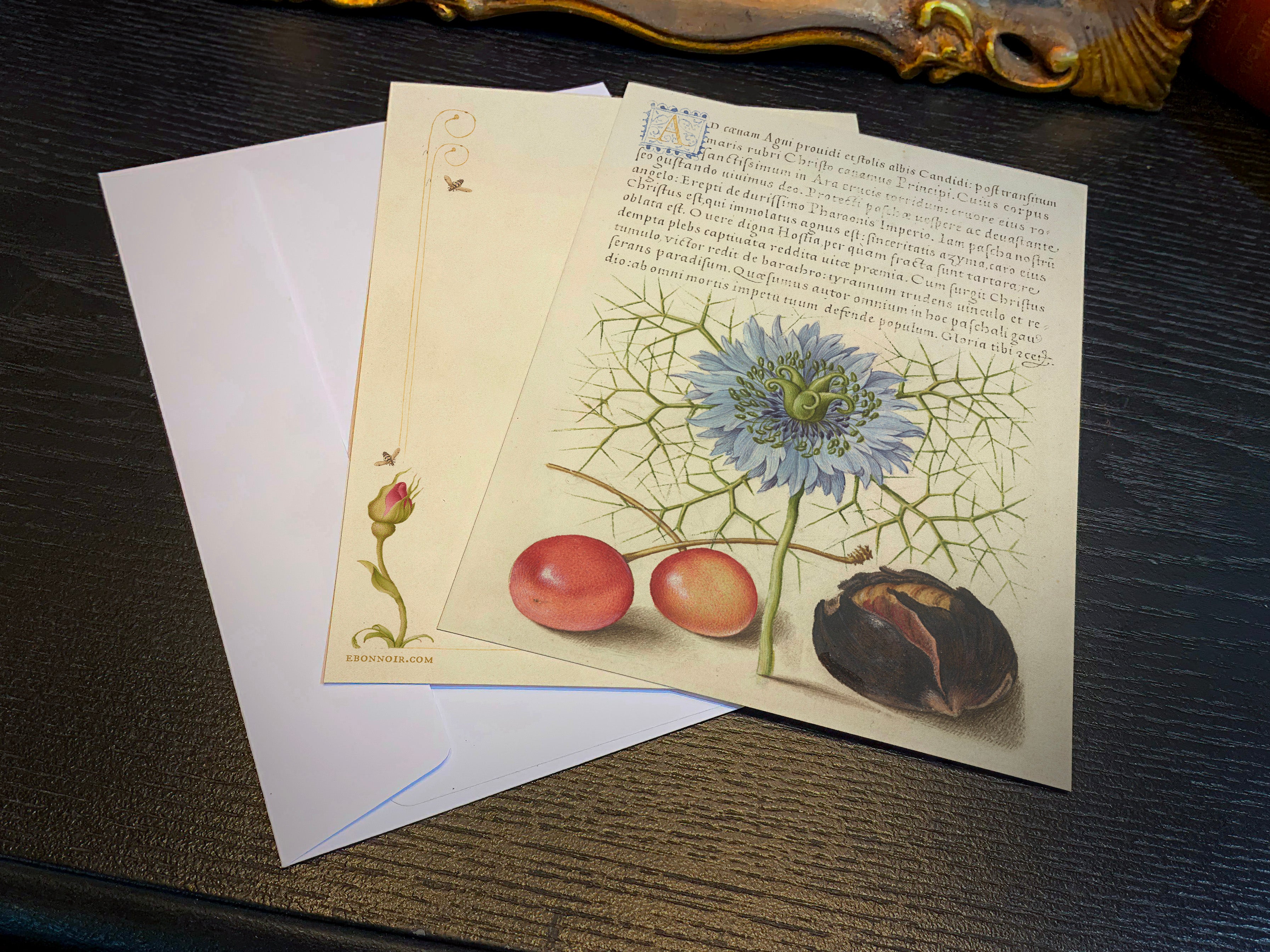 Model Book of Calligraphy, Insect, Daffodil, European Columbine, 5in x 7in Everyday Notecards With White Envelopes