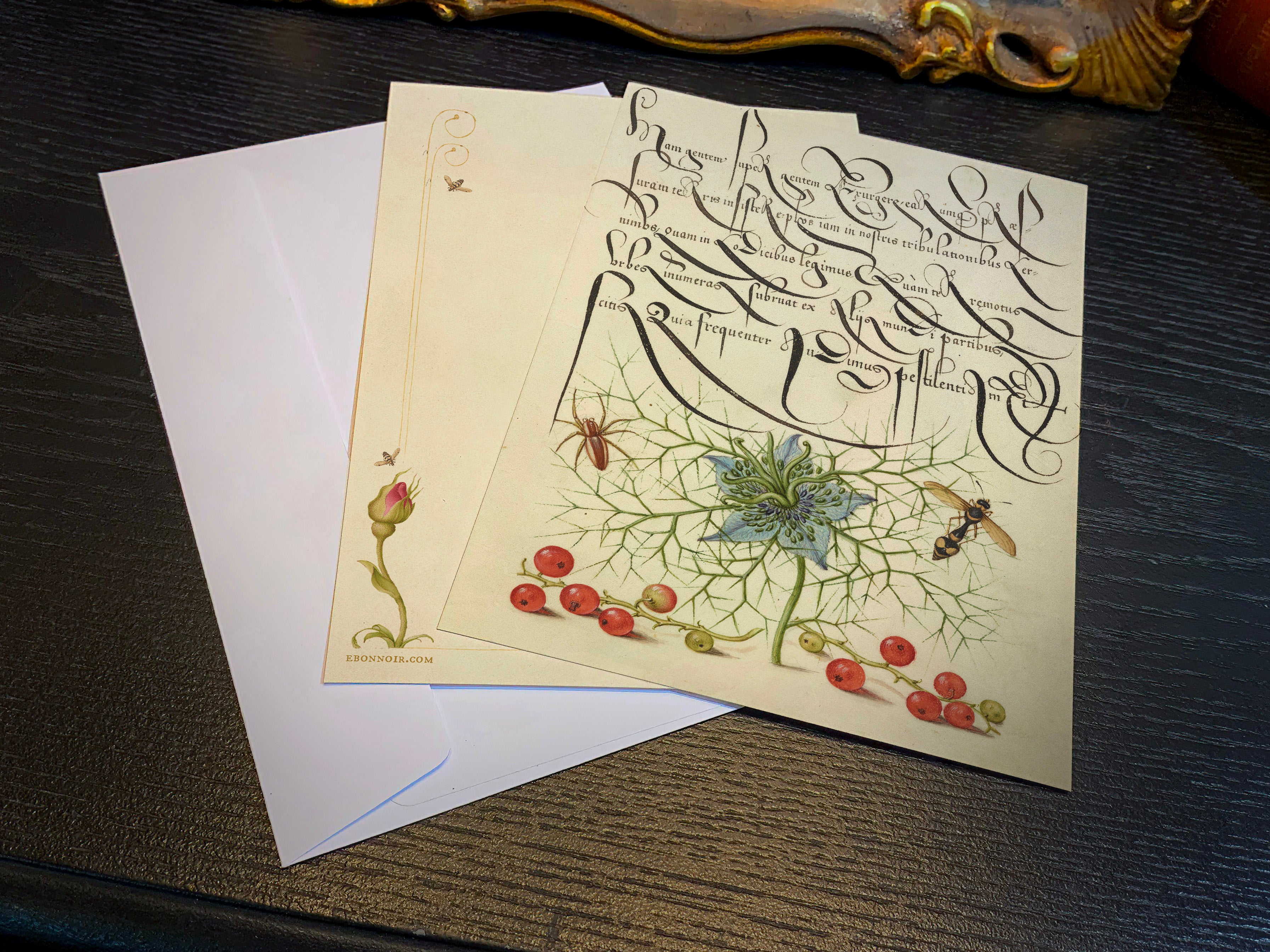 Model Book of Calligraphy, Spider, Love-in-a-Mist, and Red Currant, 5in x 7in Everyday Notecards With White Envelopes