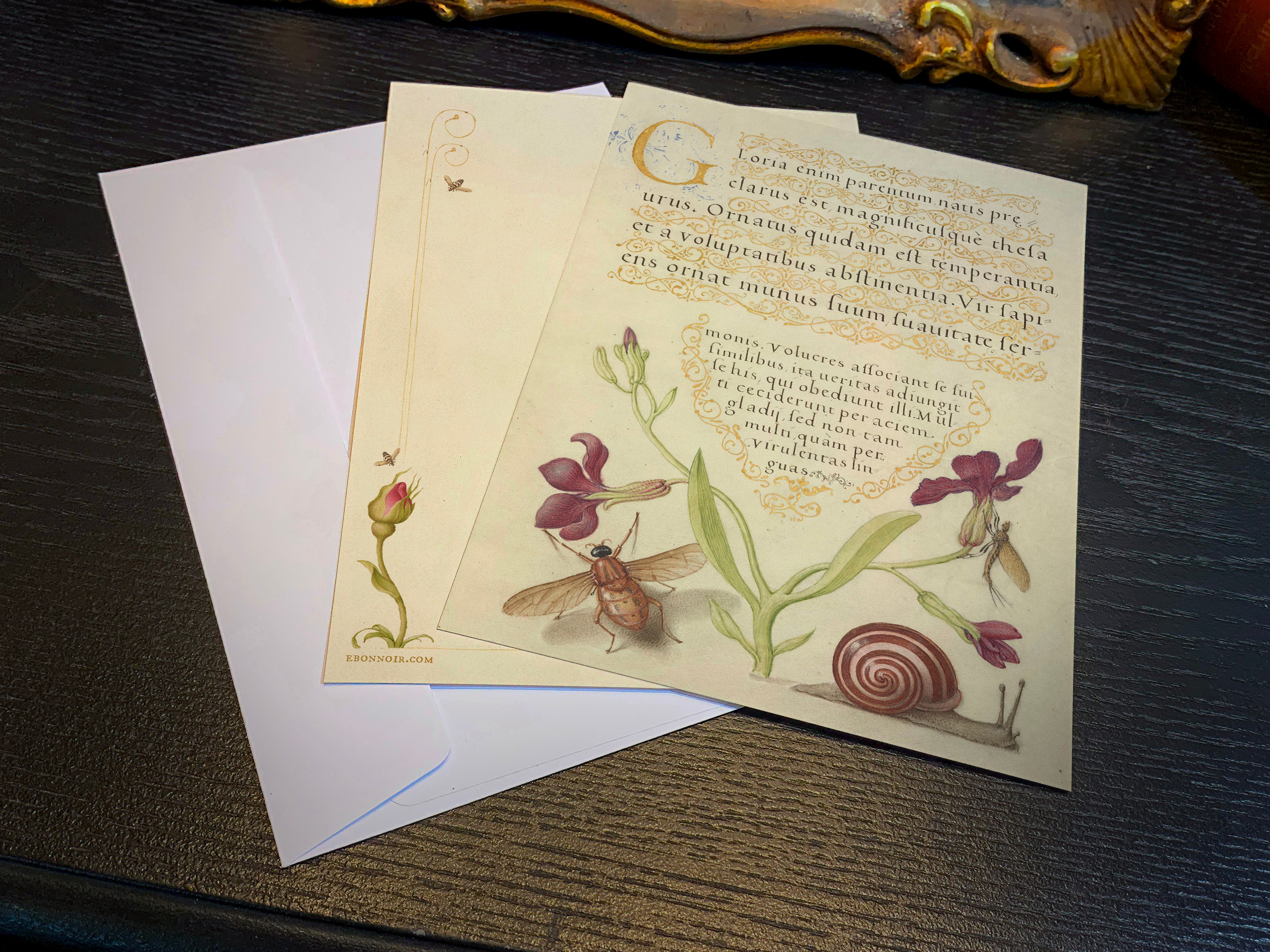 Model Book of Calligraphy, Gillyflower, Mayfly, and Snail, 5in x 7in Everyday Notecards With White Envelopes