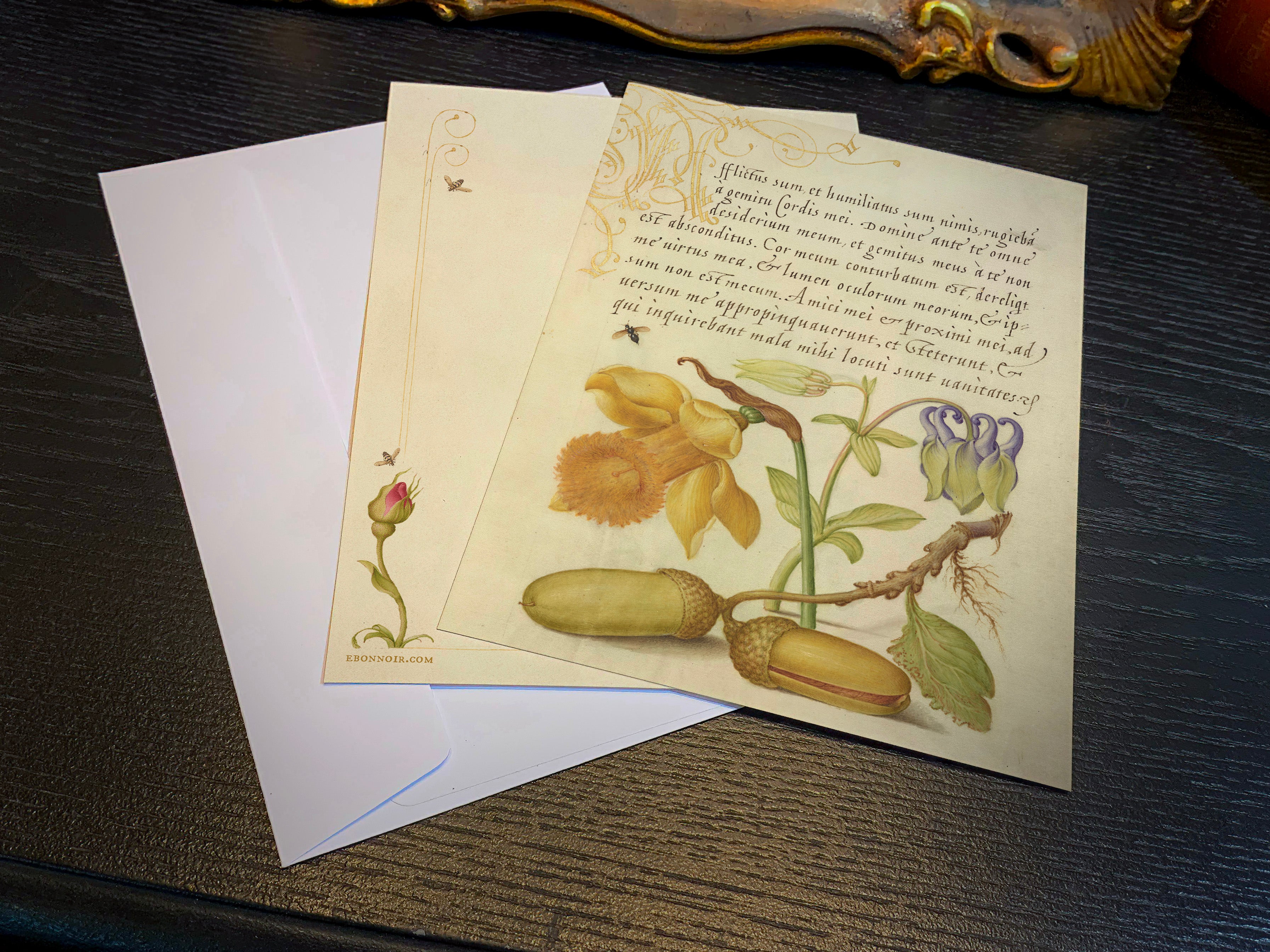 Model Book of Calligraphy, Insect, Daffodil, Columbine, and Acorns, 5in x 7in Everyday Notecards With White Envelopes