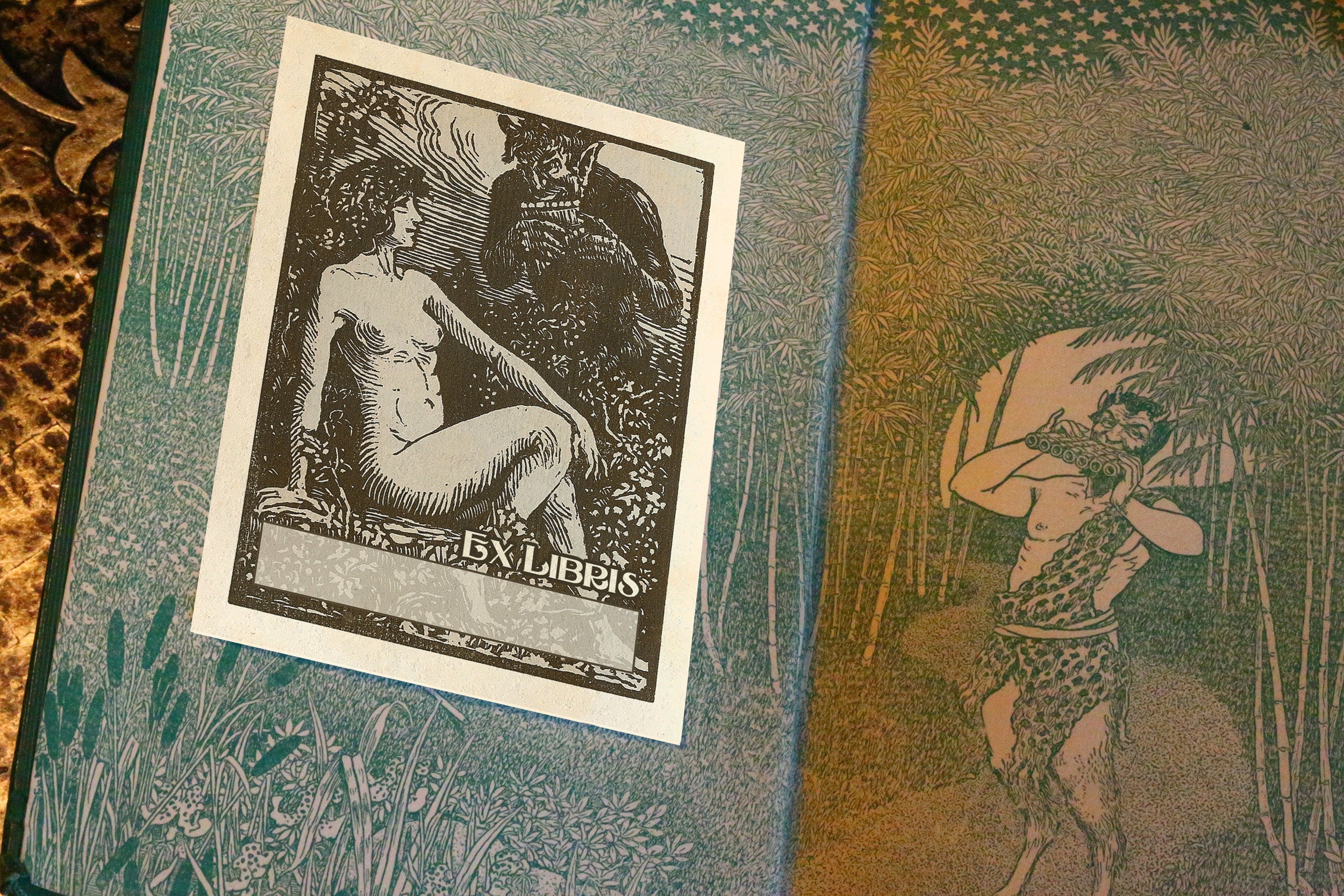 Bacchante and Satyr, Personalized Erotic Ex-Libris Bookplates, Crafted on Traditional Gummed Paper, 3in x 4in, Set of 30