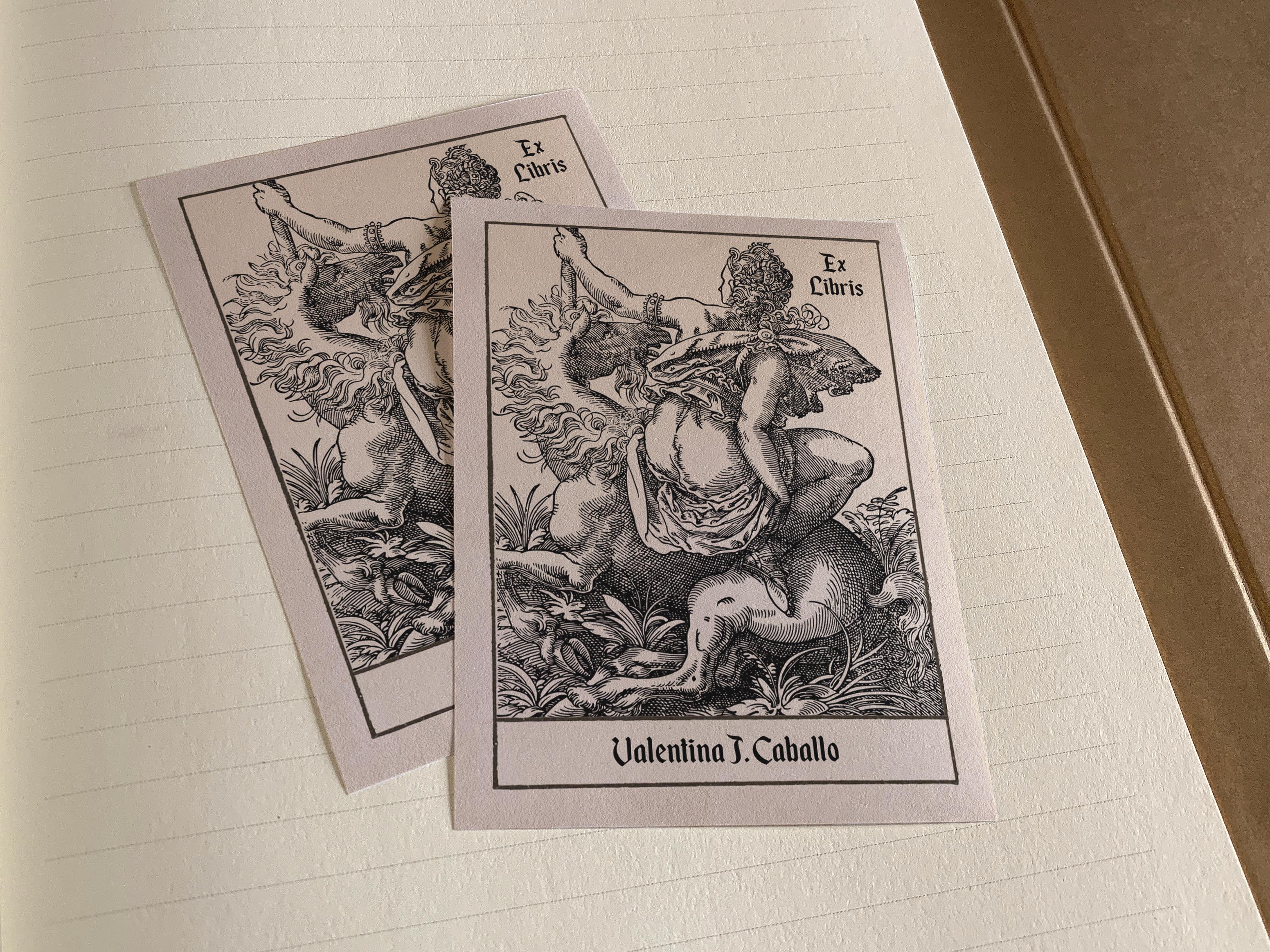 Woman and Unicorn, Personalized Erotic Ex-Libris Bookplates, Crafted on Traditional Gummed Paper, 3in x 4in, Set of 30