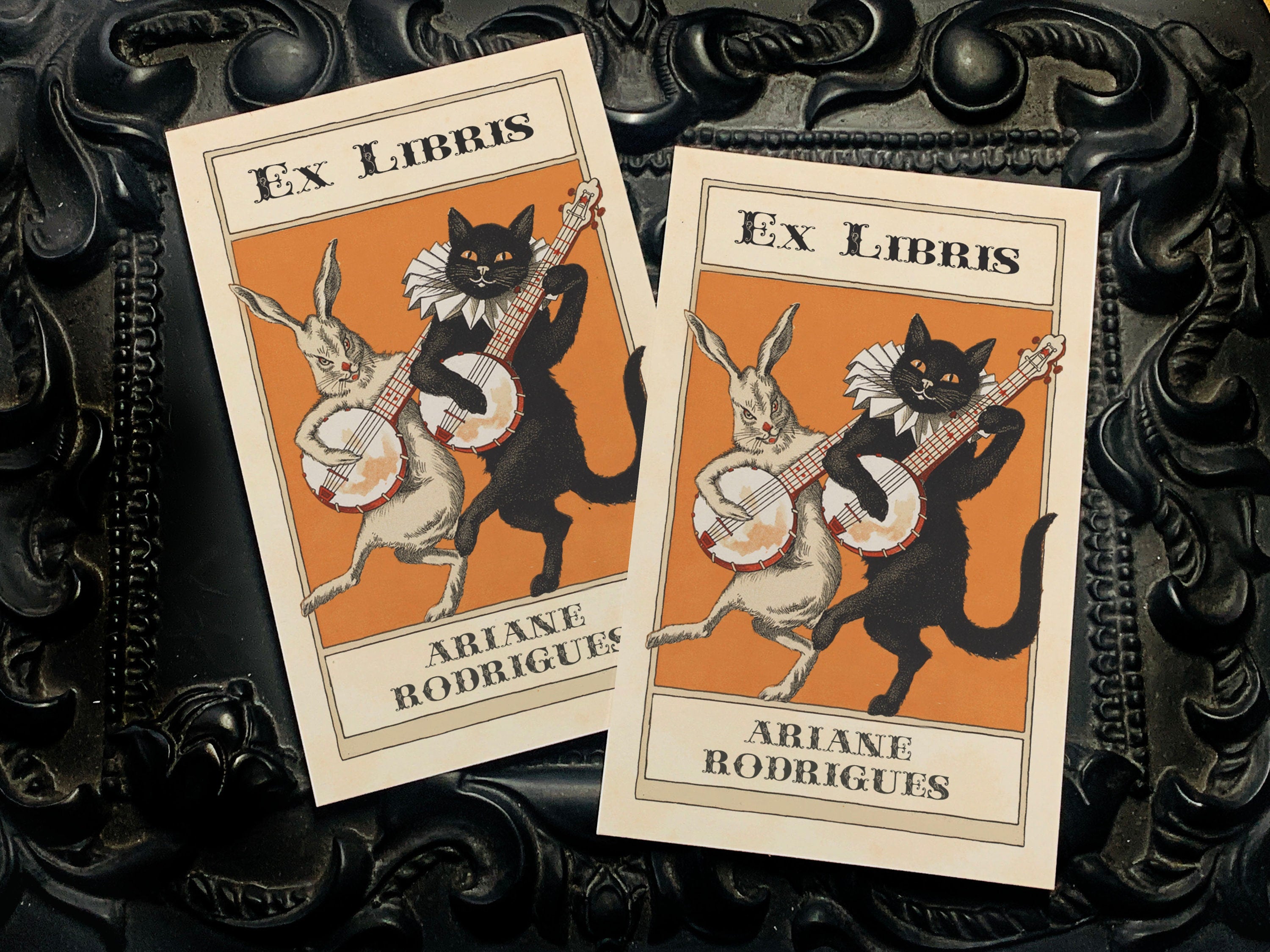 Banjo Cat and Rabbit, Personalized Ex-Libris Bookplates, Crafted on Traditional Gummed Paper, 2.5in x 4in, Set of 30