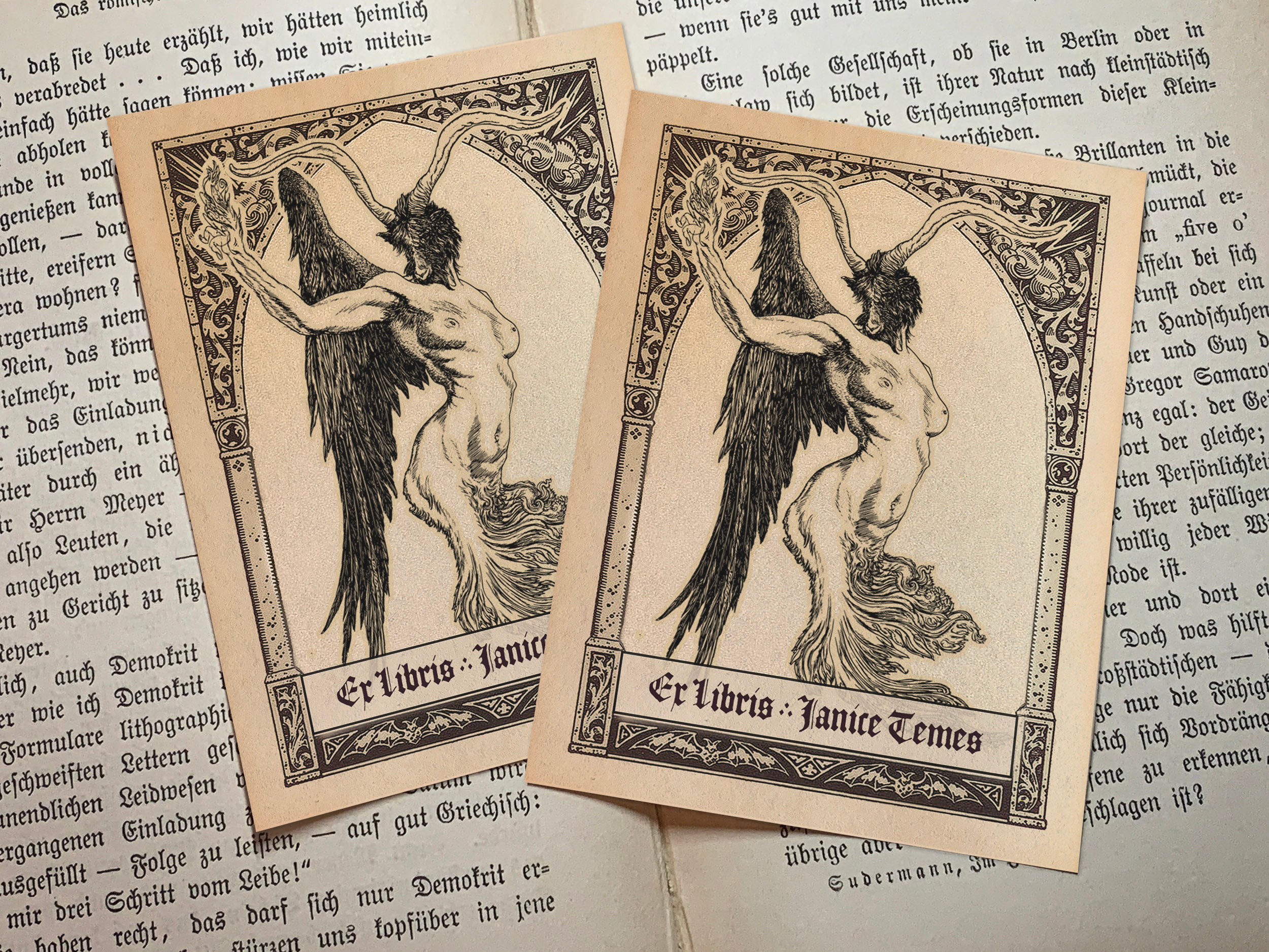 Diabolus Grotesque, Dark Academia Personalized Ex-Libris Bookplates, Crafted on Traditional Gummed Paper, 3in x 4in, Set of 30