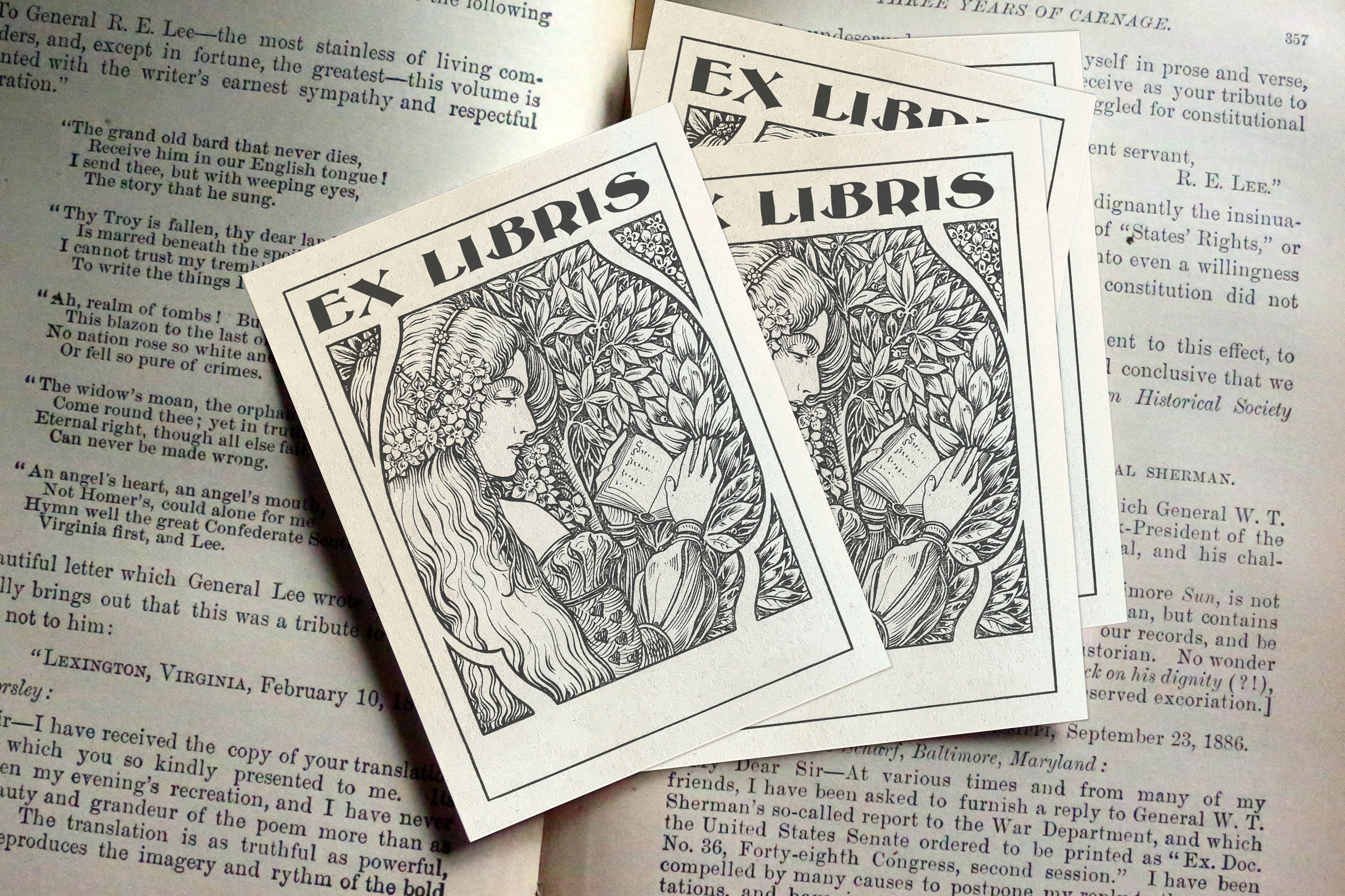 Princess Reading in the Garden, Personalized Ex-Libris Bookplates, Crafted on Traditional Gummed Paper, 3in x 4in, Set of 30