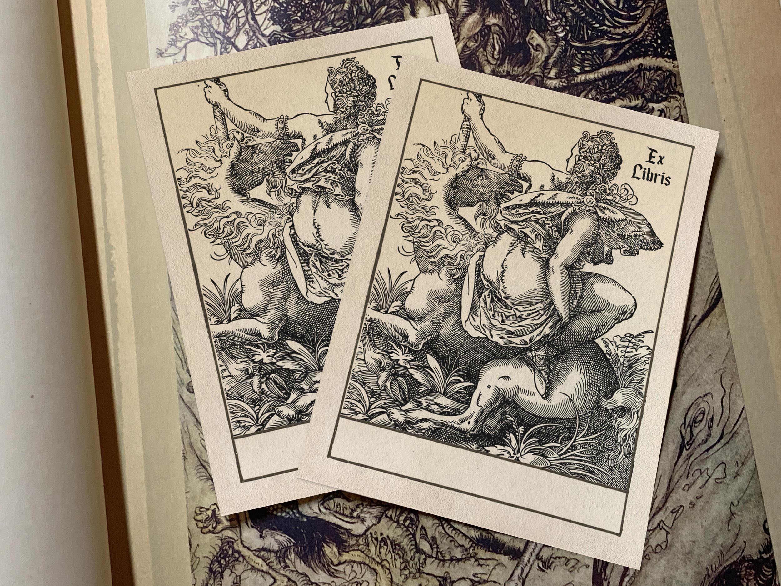 Woman and Unicorn, Personalized Erotic Ex-Libris Bookplates, Crafted on Traditional Gummed Paper, 3in x 4in, Set of 30