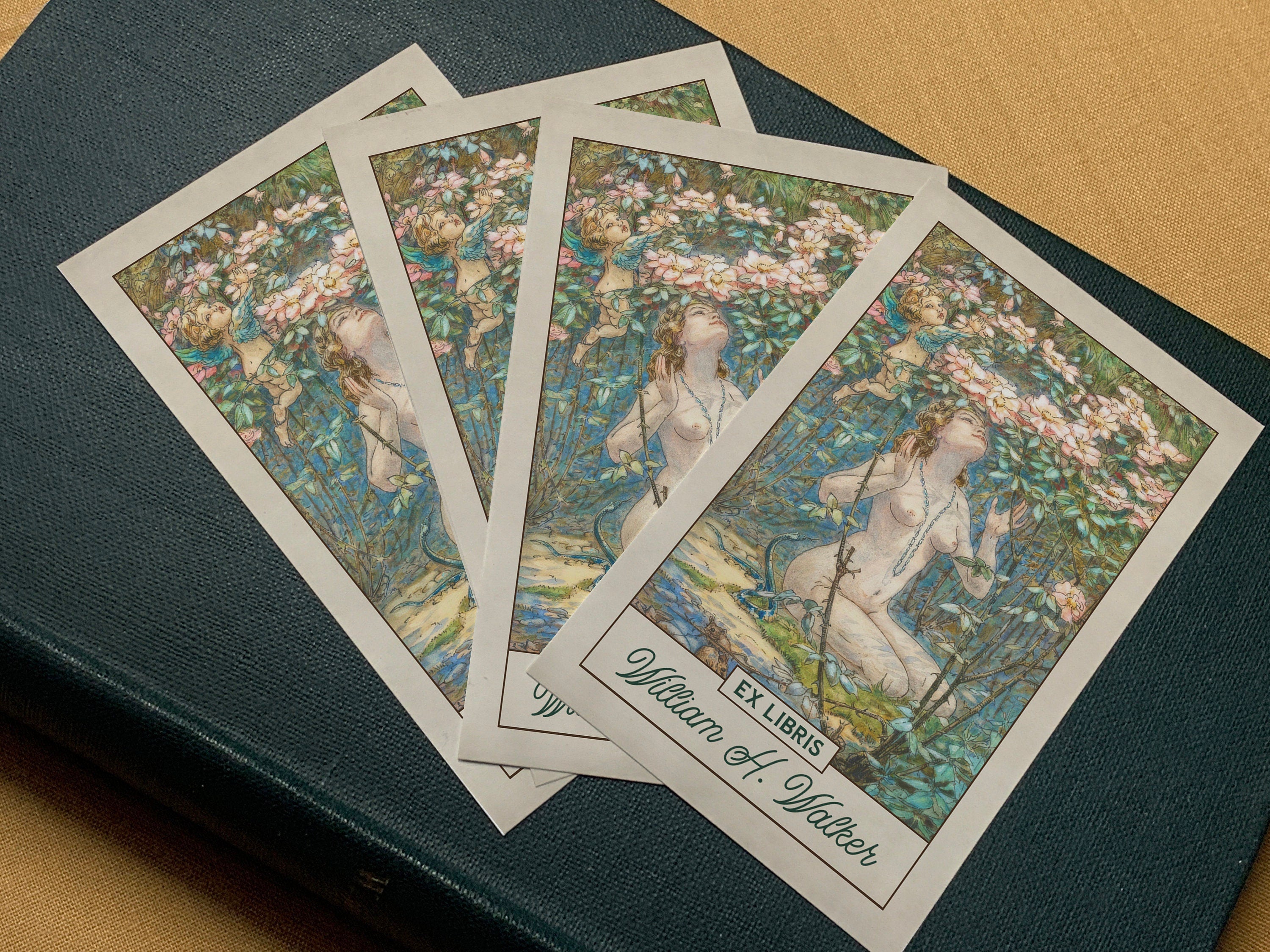 Fairy Bower, Personalized Ex-Libris Bookplates, Crafted on Traditional Gummed Paper, 2.5in x 4in, Set of 30