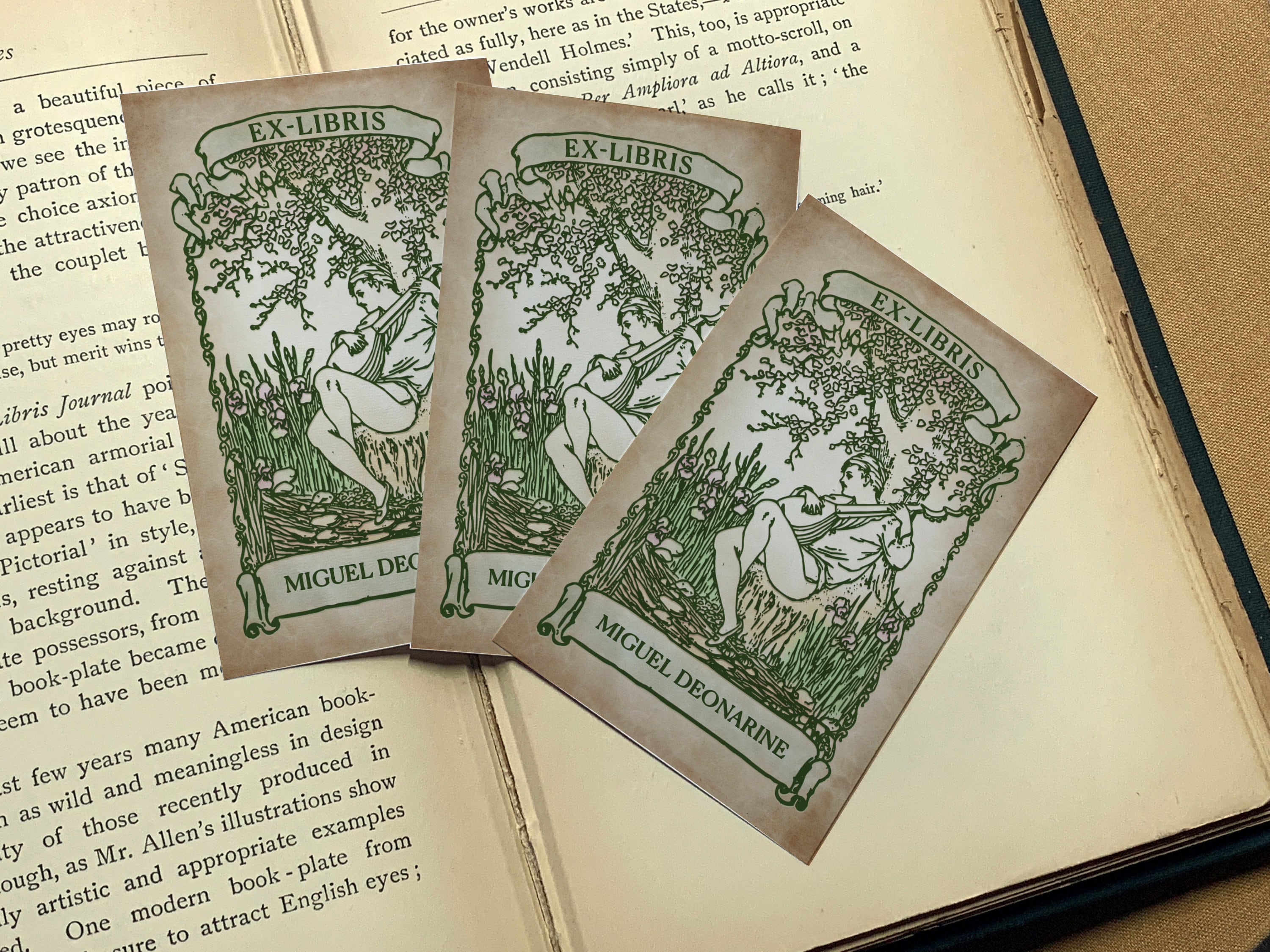 Bard with Lute, Personalized Ex-Libris Bookplates, Crafted on Traditional Gummed Paper, 2.5in x 4in, Set of 30