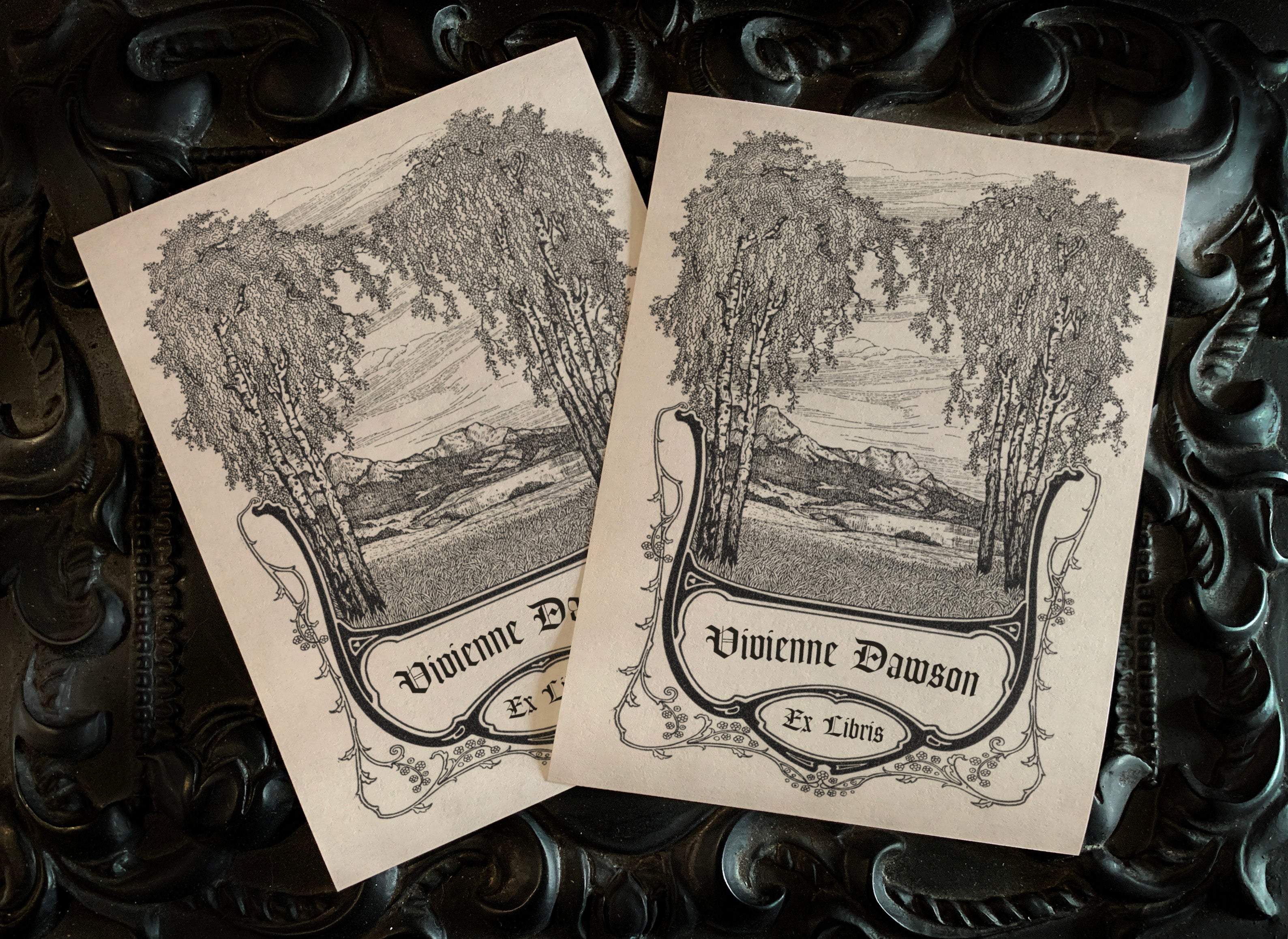 Mountain View, Personalized Ex-Libris Bookplates, Crafted on Traditional Gummed Paper, 3in x 4in, Set of 30