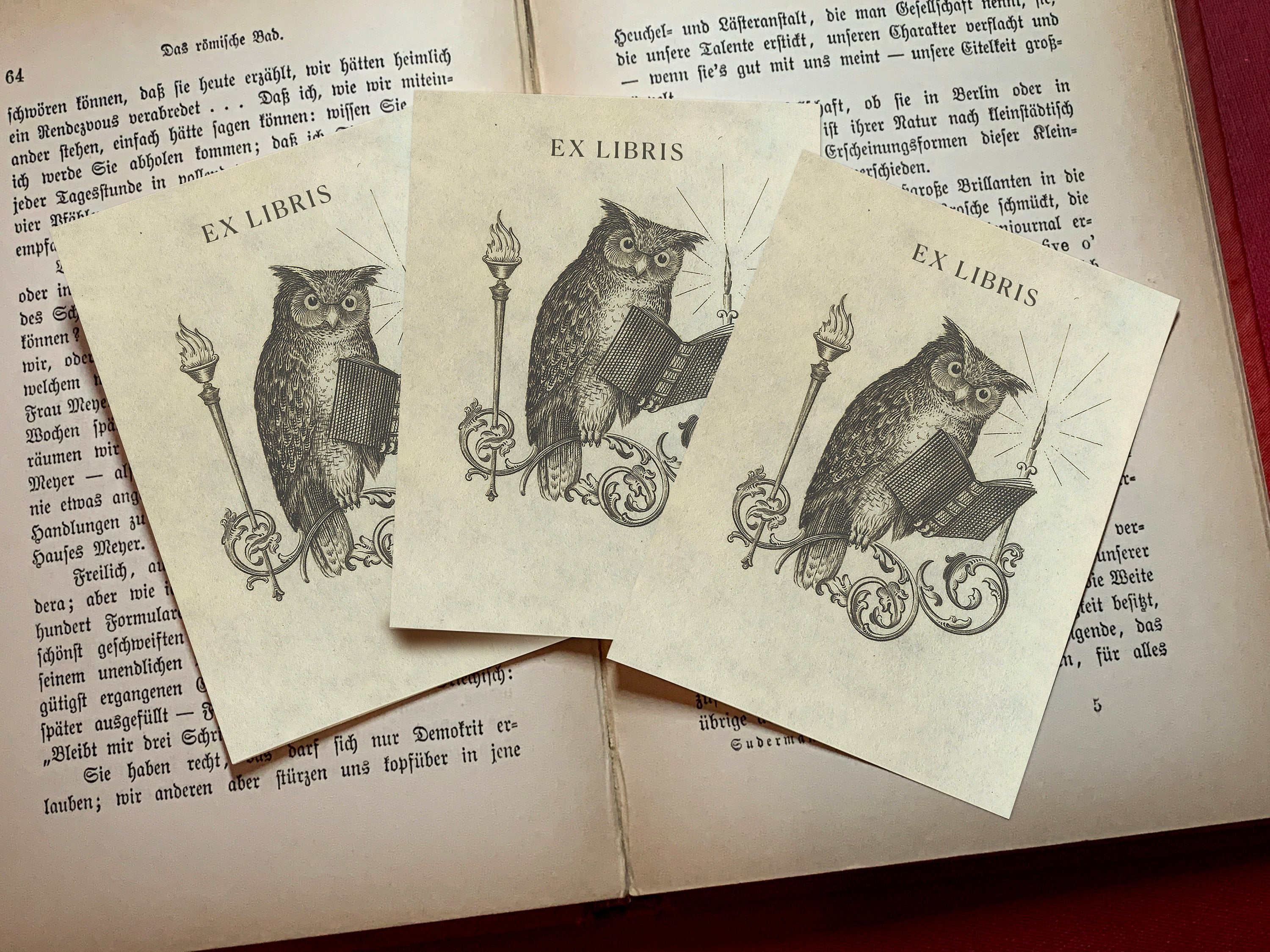 Perched Owl, Personalized Owl Ex-Libris Bookplates, Crafted on Traditional Gummed Paper, 3in x 4in, Set of 30