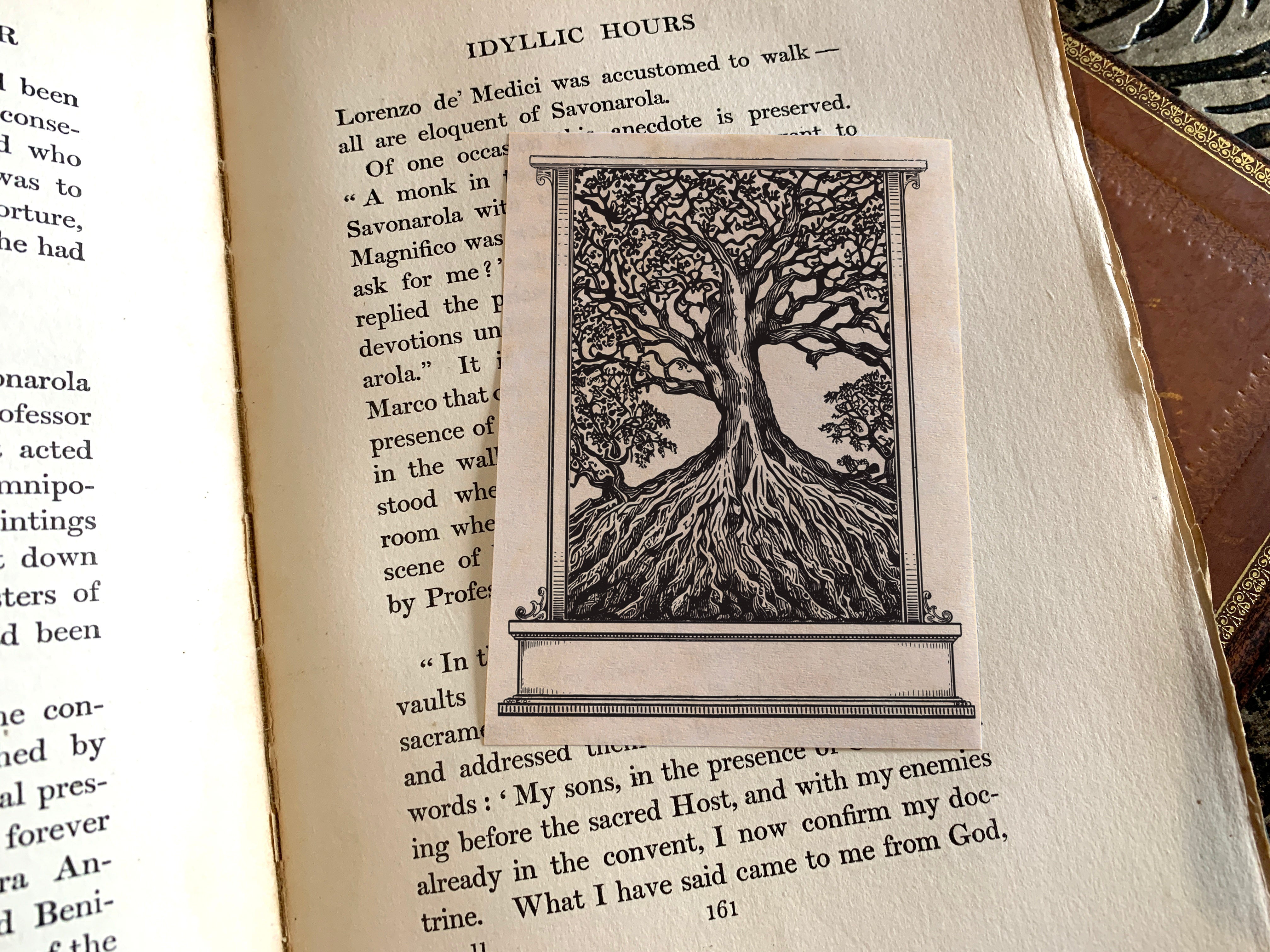 Ancient Gnarled Tree of Knowledge, Personalized Ex-Libris Bookplates, Crafted on Traditional Gummed Paper, 3in x 4in, Set of 30