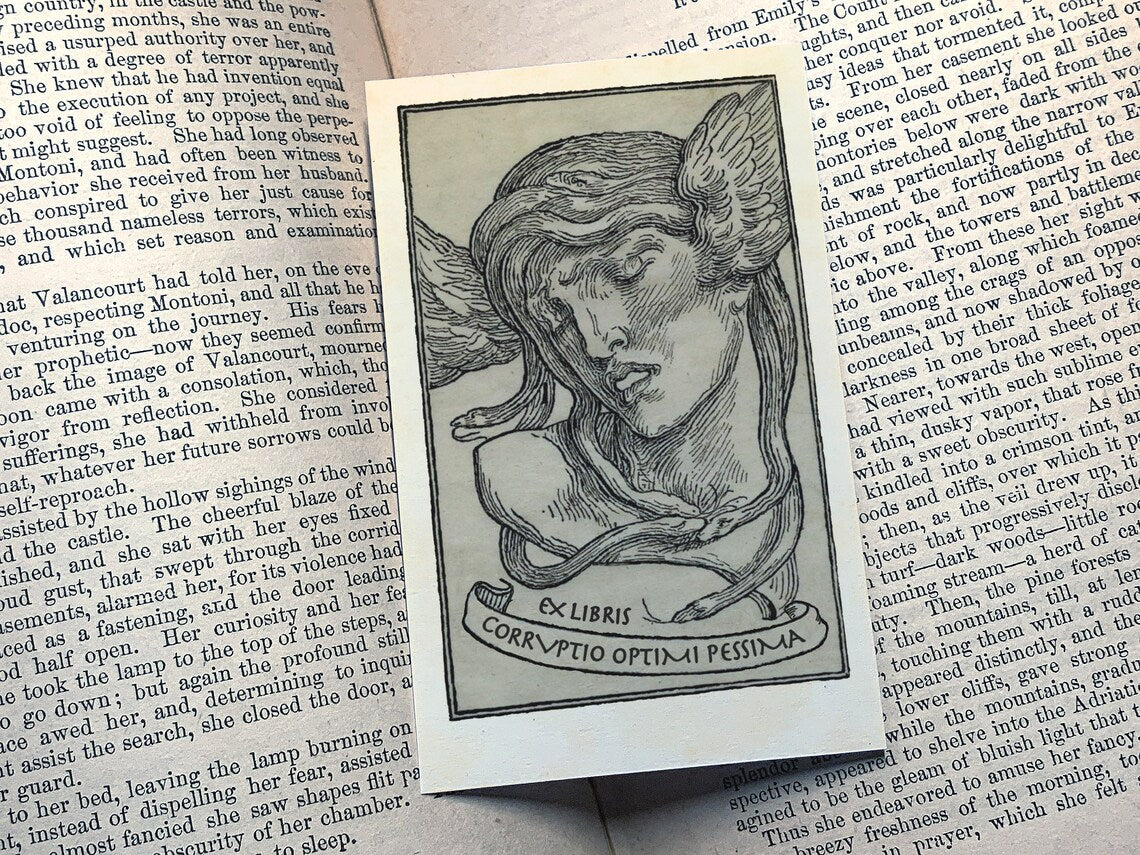 Medusa's Triumph, Mythological, Personalized Ex-Libris Bookplates, Crafted on Traditional Gummed Paper, 2.5in x 4in, Set of 30