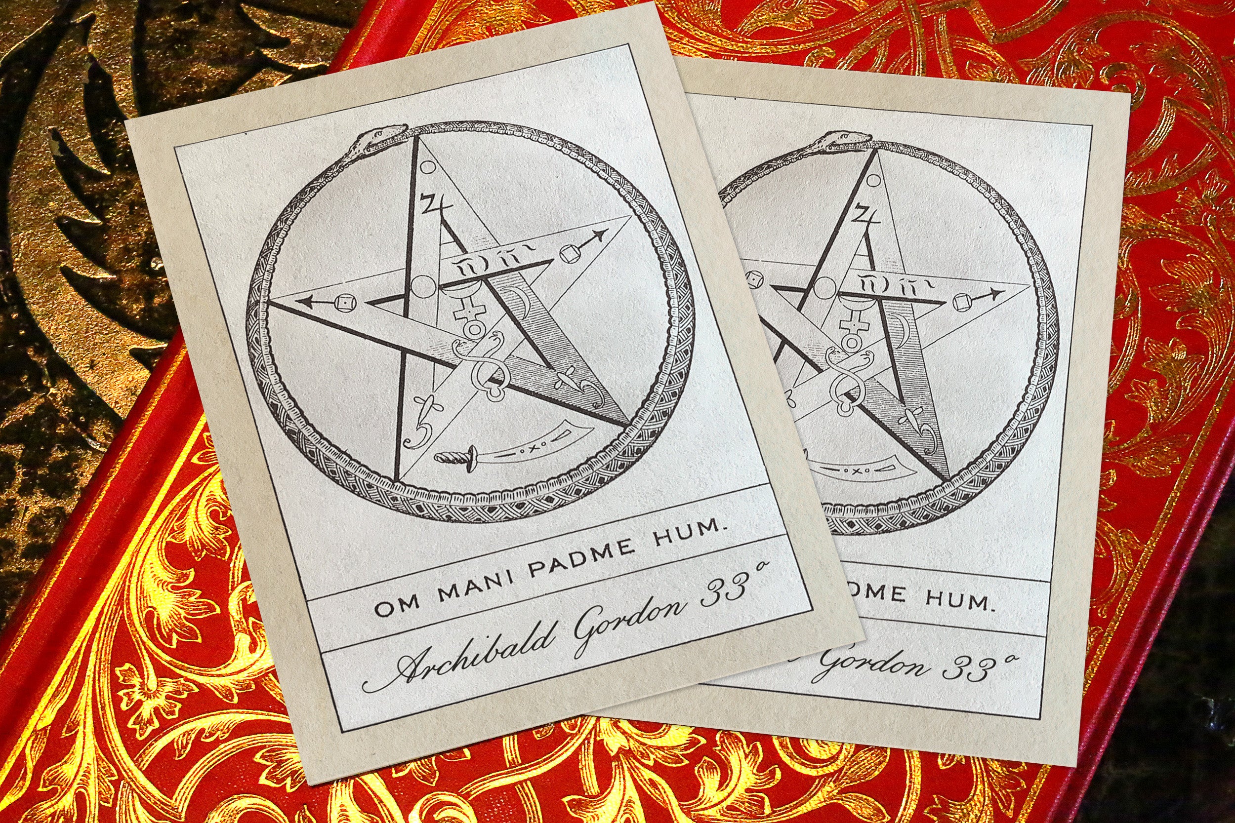 Ouroboros, Personalized Ex-Libris Bookplates, Crafted on Traditional Gummed Paper, 3in x 4in, Set of 30