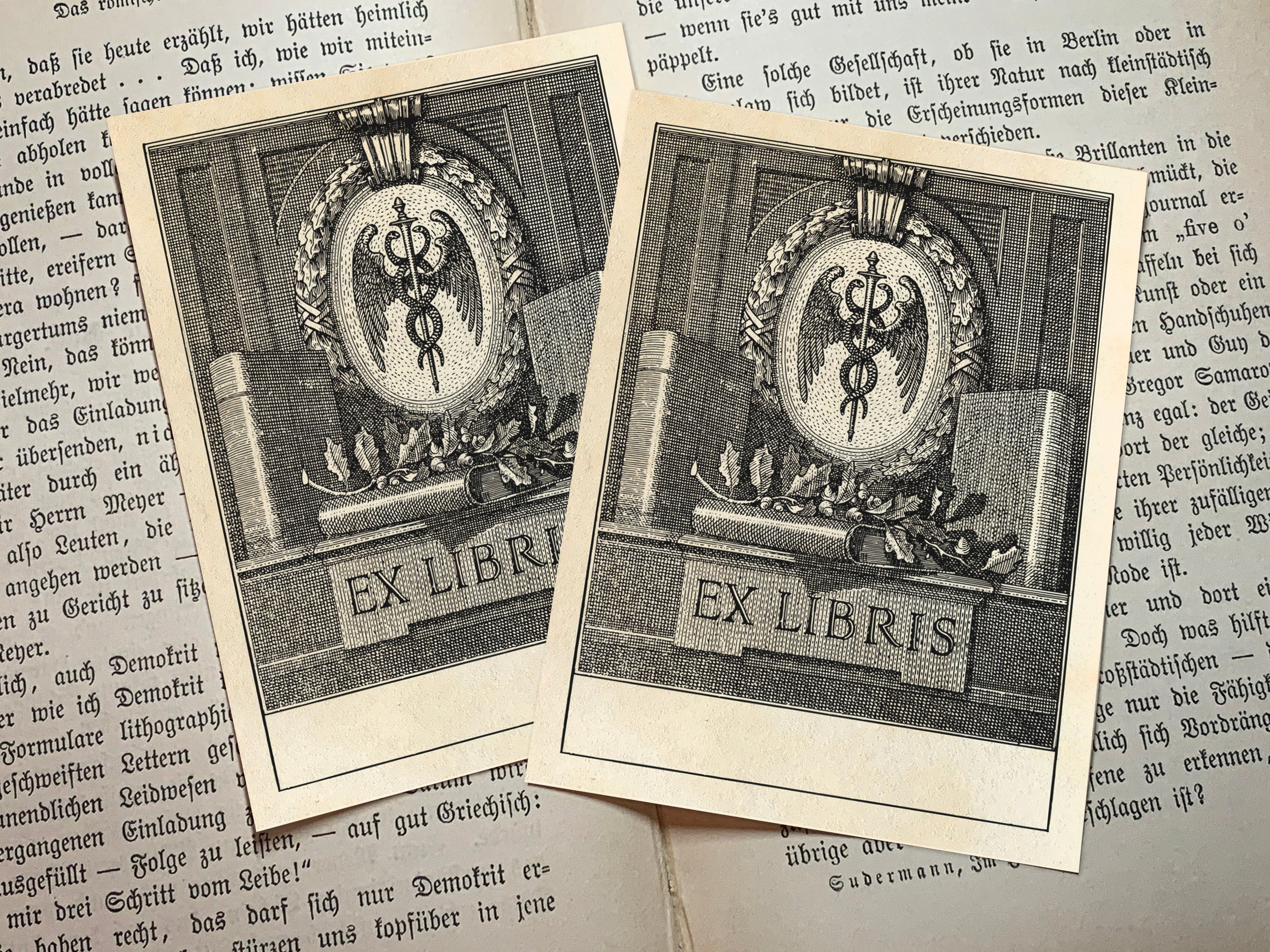 Caduceus, Personalized Ex-Libris Bookplates, Crafted on Traditional Gummed Paper, 3in x 4in, Set of 30