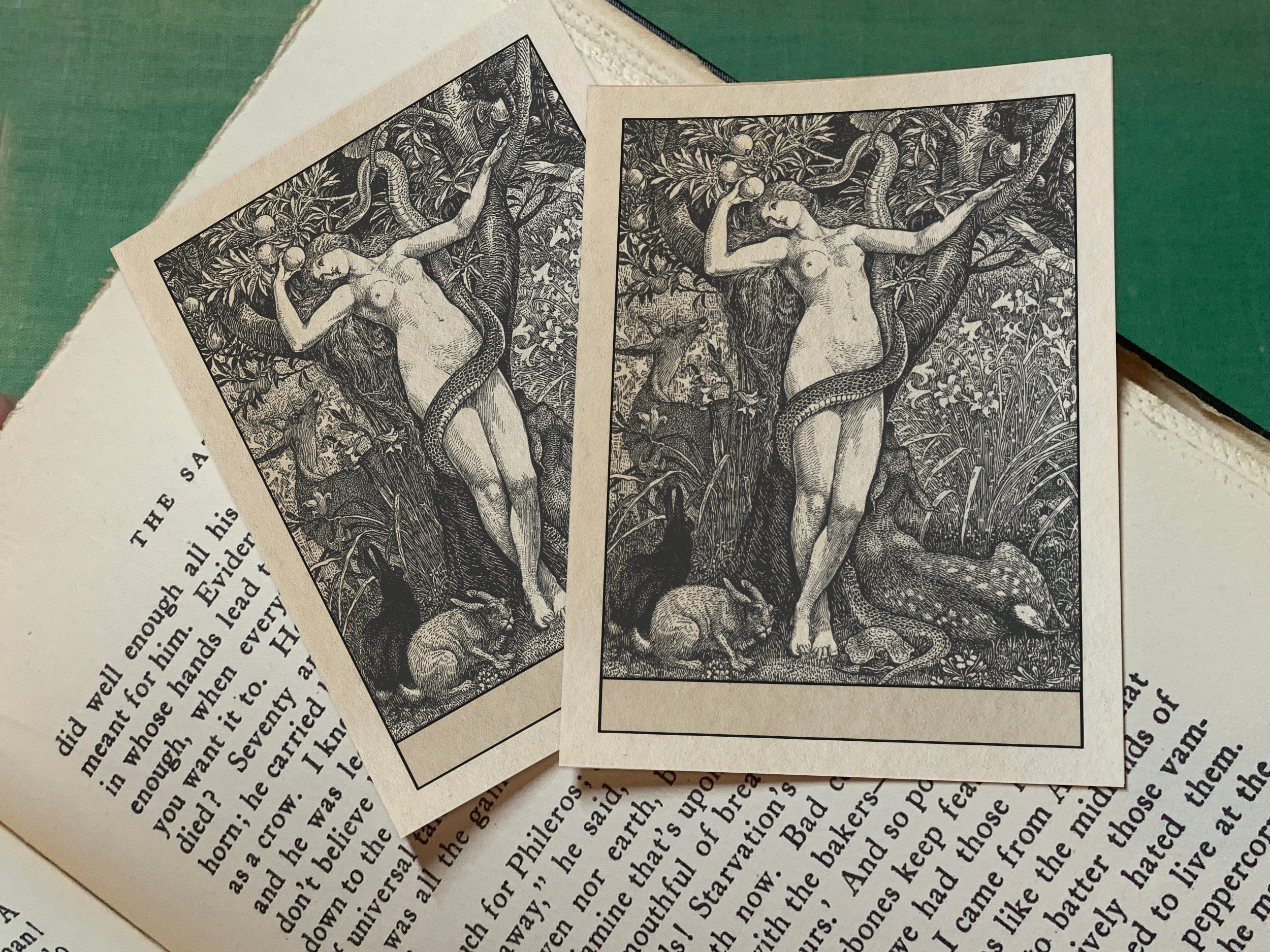 Eve and Serpent by Walter Crane, Personalized Ex-Libris Bookplates, Crafted on Traditional Gummed Paper, 3in x 4in, Set of 30