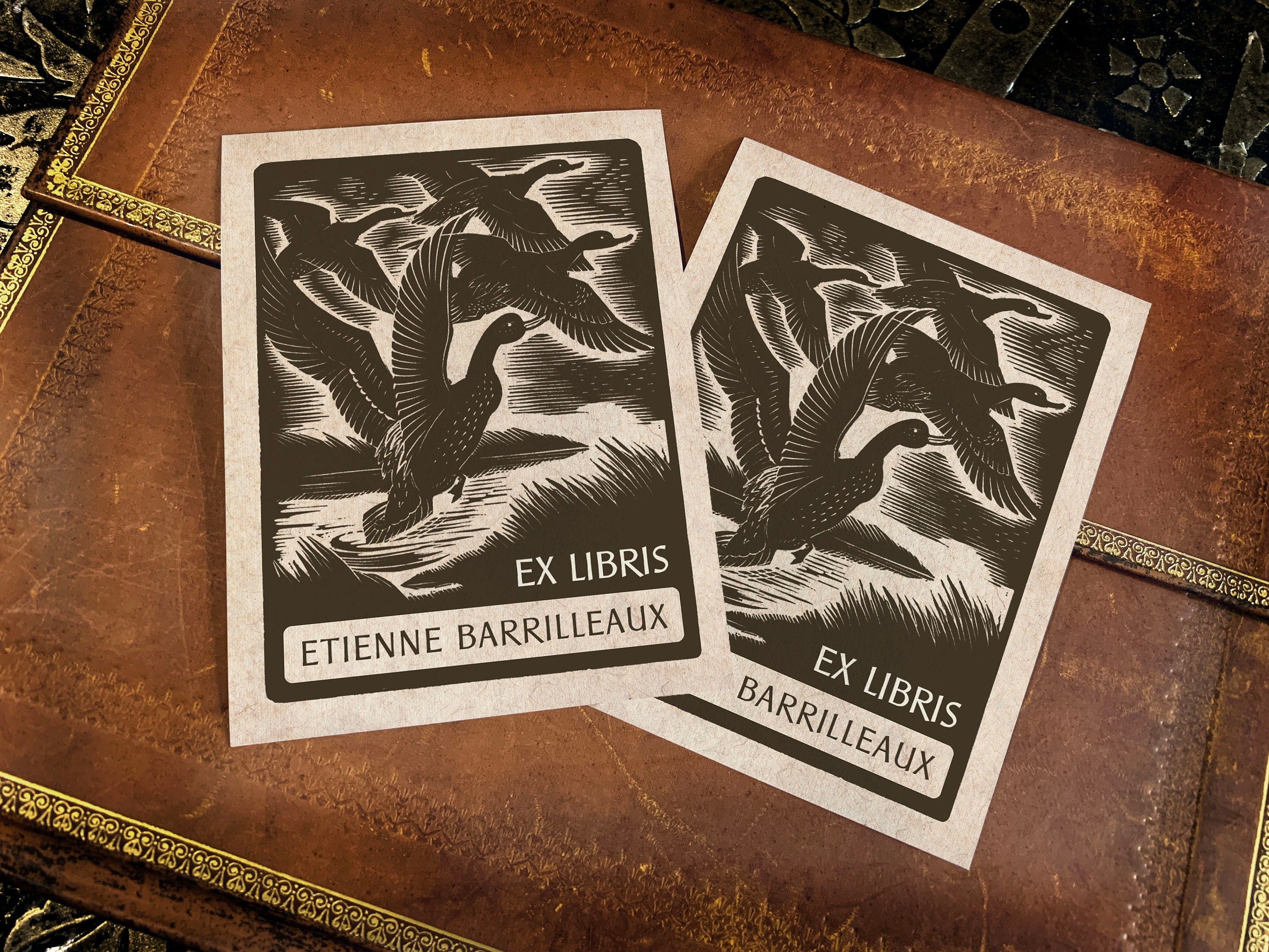 Duck Pond, Personalized Ex-Libris Bookplates, Crafted on Traditional Gummed Paper, 3in x 4in, Set of 30