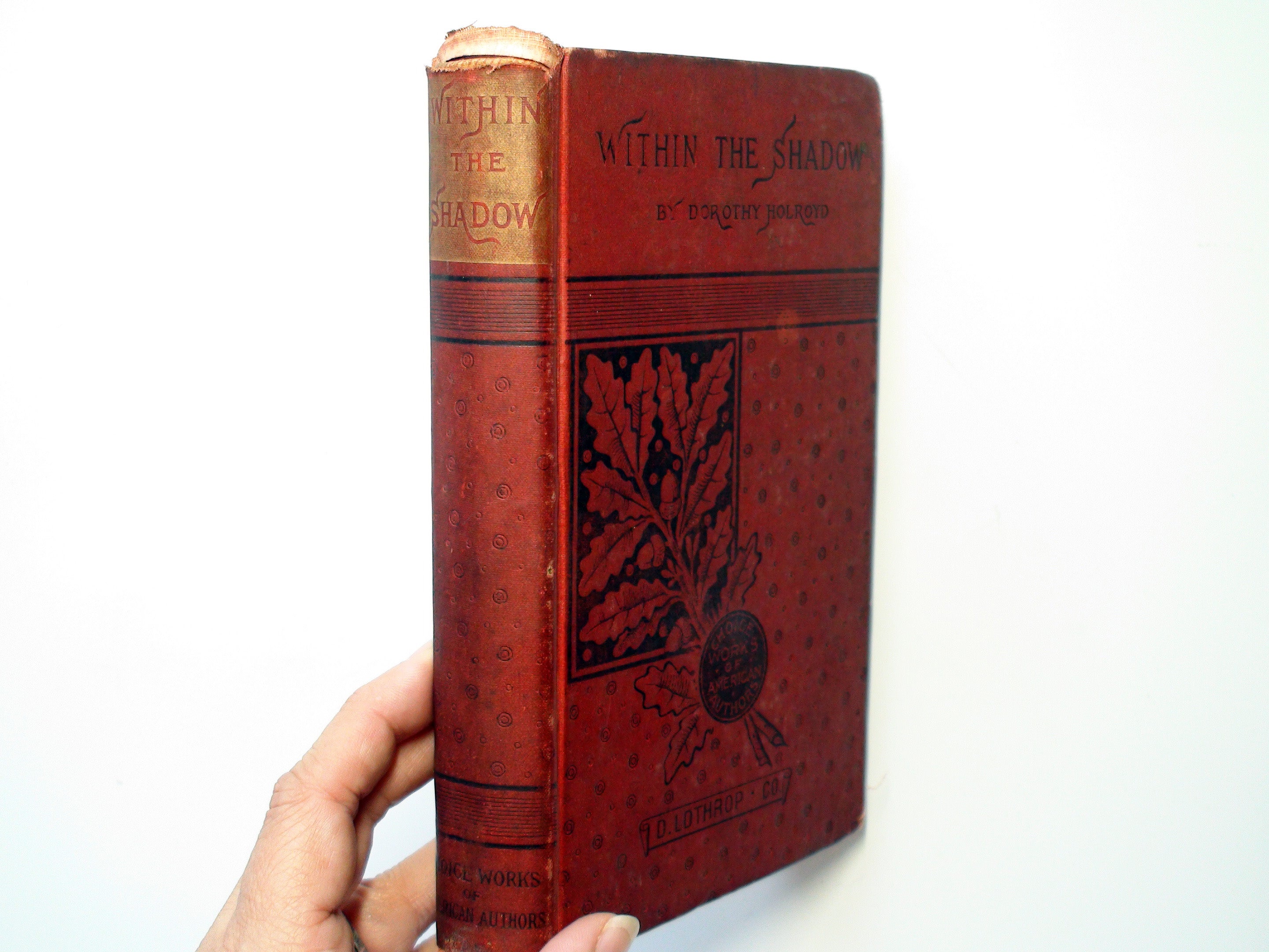 Within the Shadow by Dorothy Holroyd, D. Lothrop and Co., Scarce, 1884