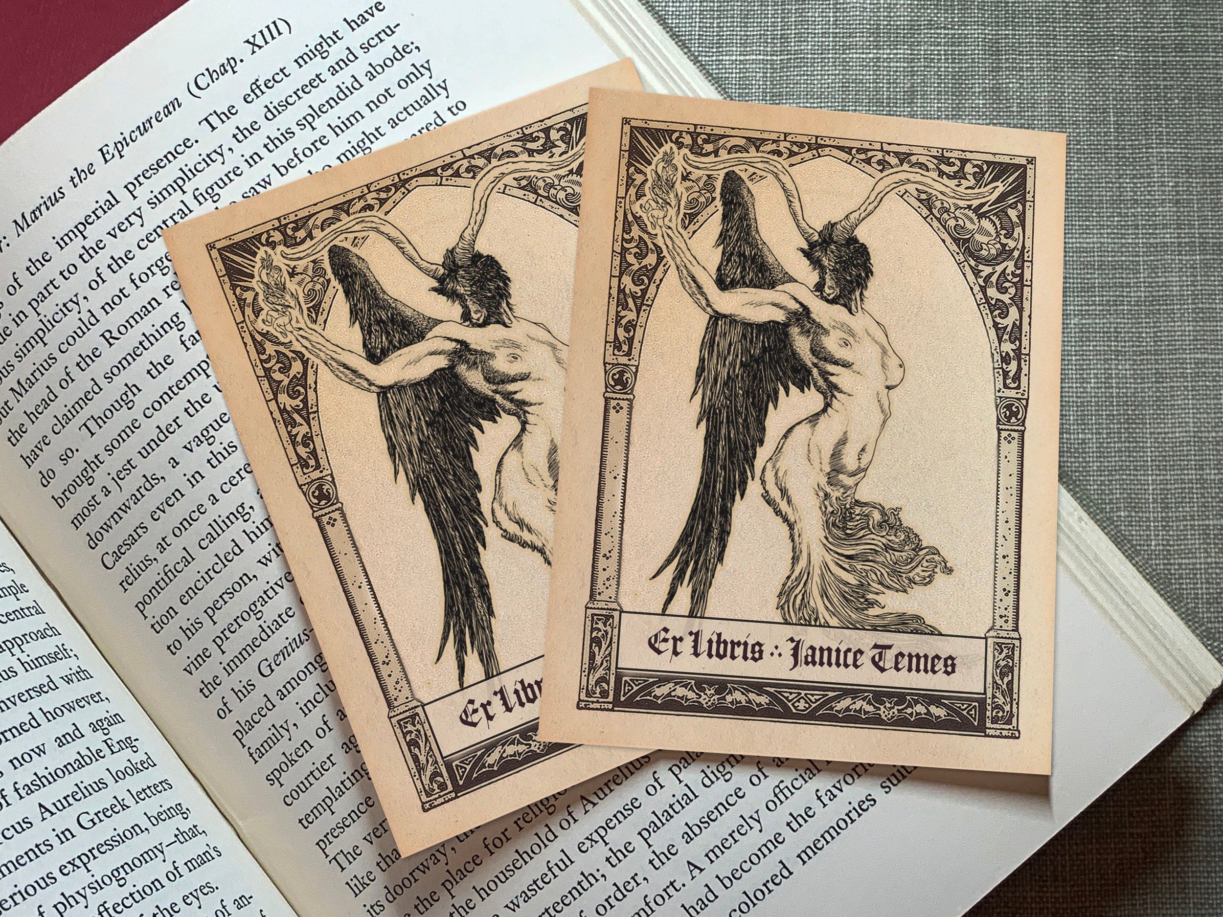 Diabolus Grotesque, Dark Academia Personalized Ex-Libris Bookplates, Crafted on Traditional Gummed Paper, 3in x 4in, Set of 30