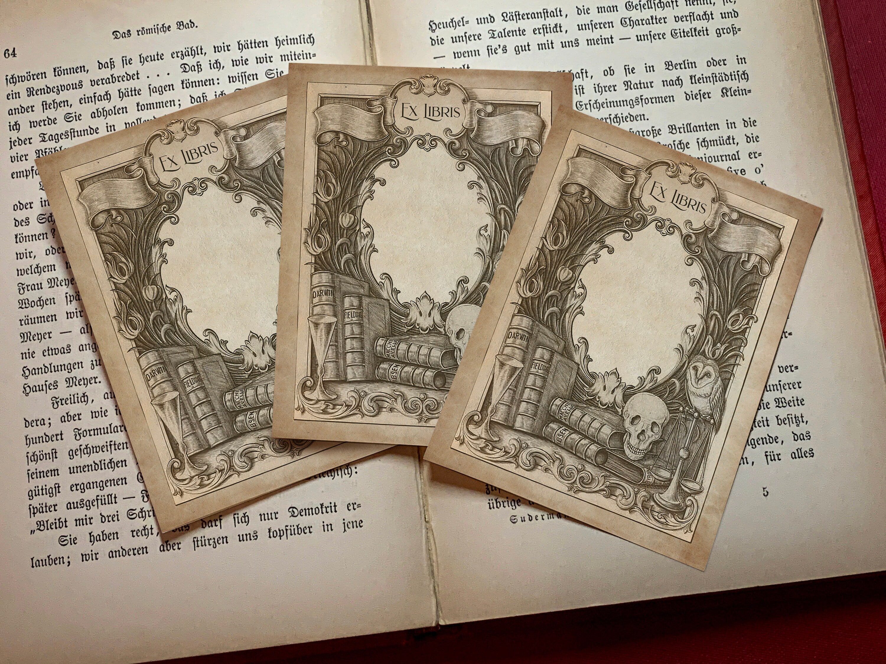 Wine Words and Wisdom, Personalized Dark Academia Ex Libris Bookplates, Crafted on Traditional Gummed Paper, 3in x 4in, Set of 30