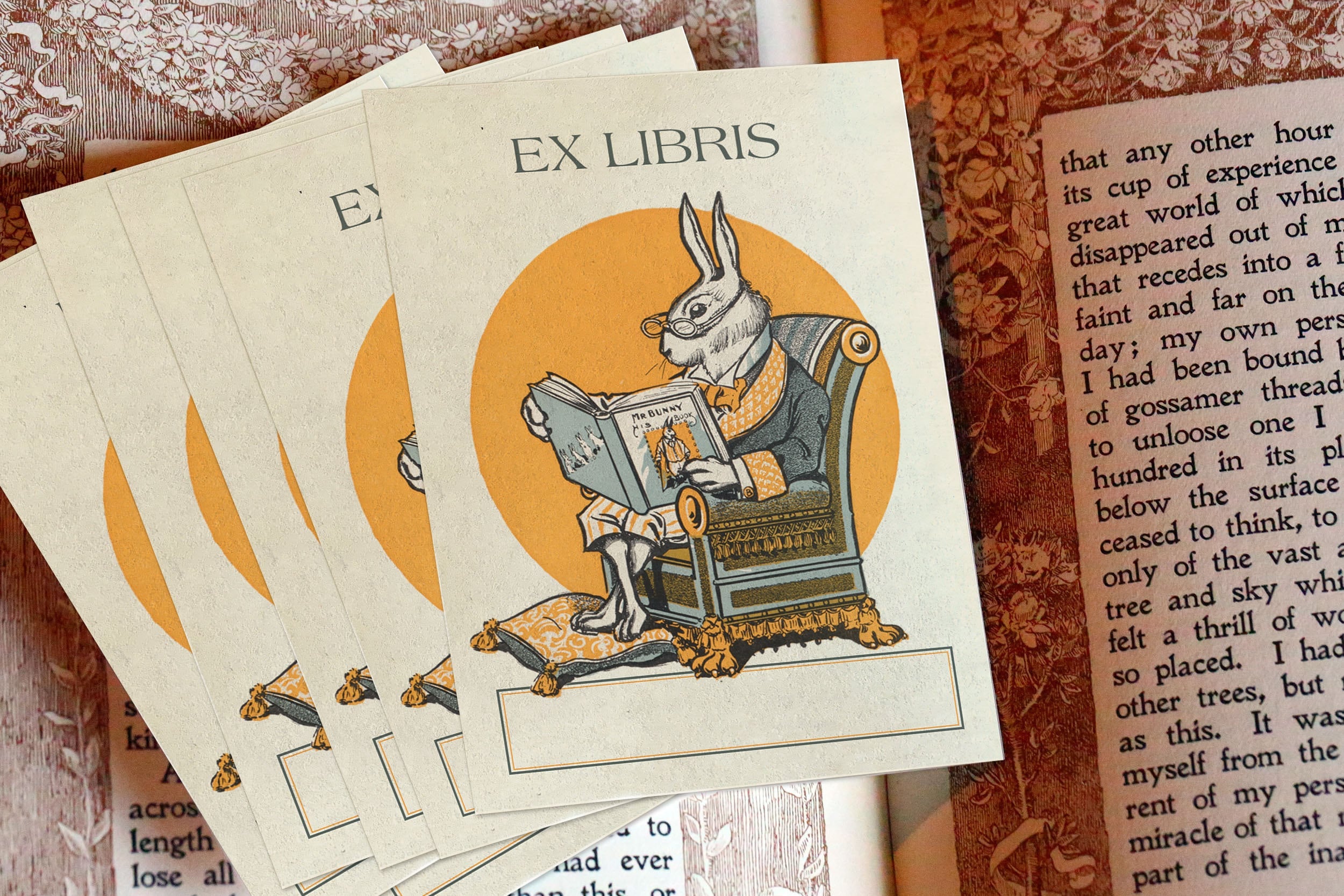 Mr Bunny, Personalized Ex-Libris Bookplates, Crafted on Traditional Gummed Paper, 3in x 4in, Set of 30