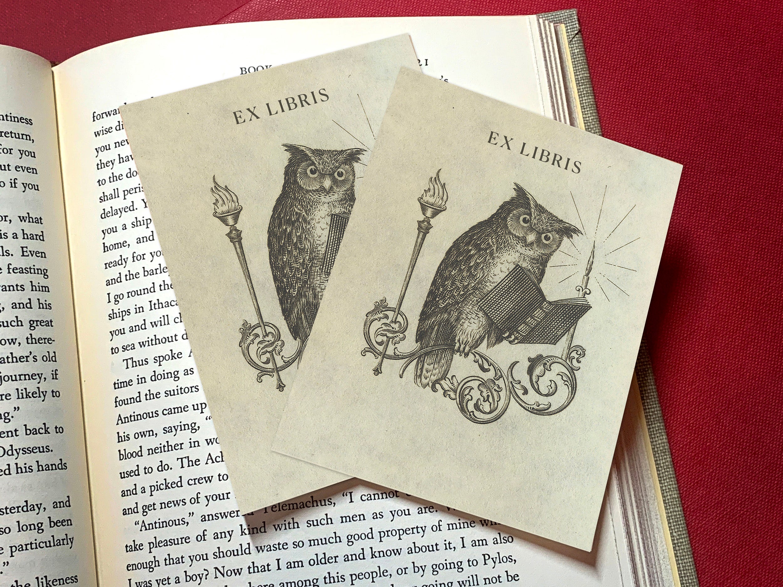 Perched Owl, Personalized Owl Ex-Libris Bookplates, Crafted on Traditional Gummed Paper, 3in x 4in, Set of 30