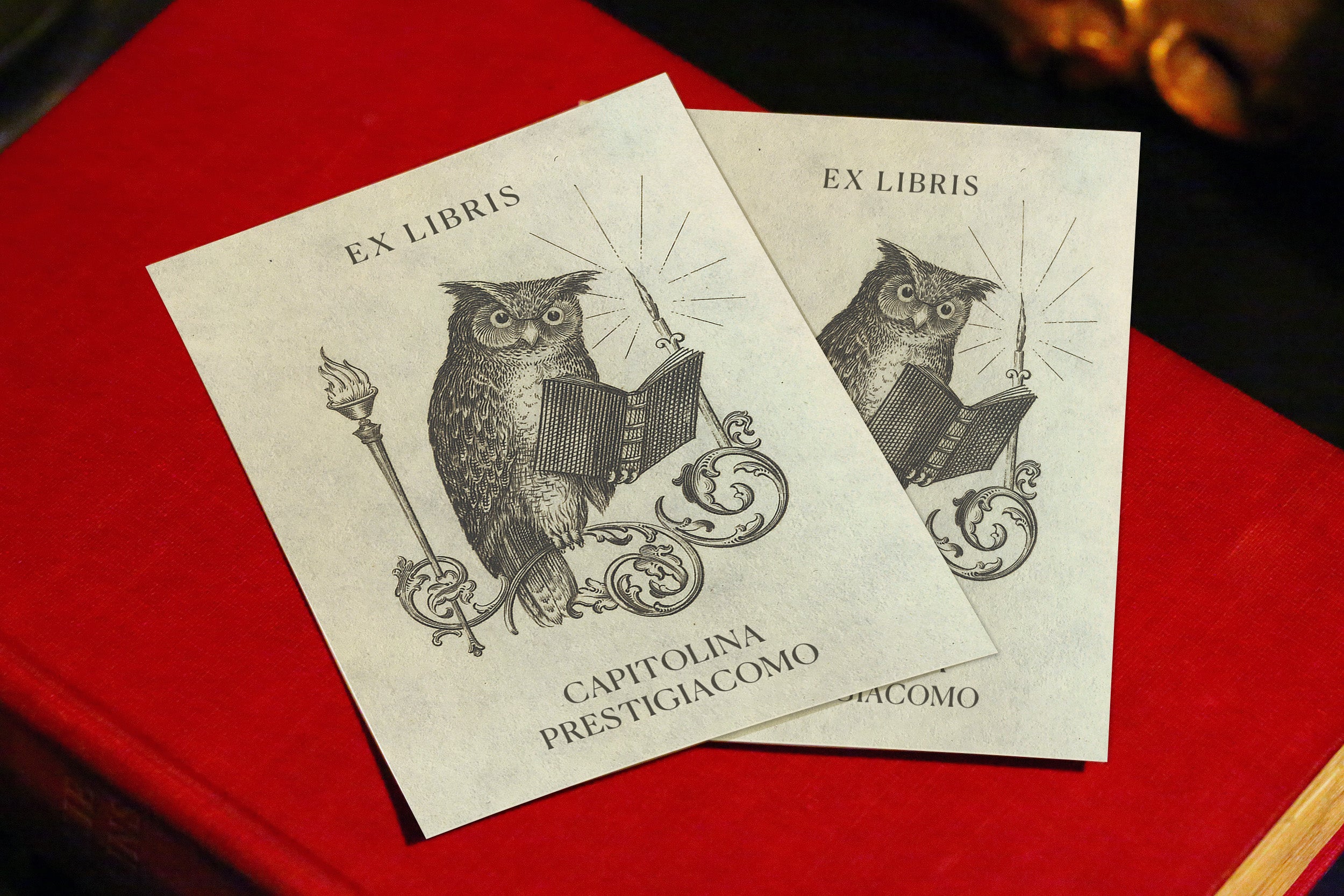 Perched Owl, Personalized Owl Ex-Libris Bookplates, Crafted on Traditional Gummed Paper, 3in x 4in, Set of 30