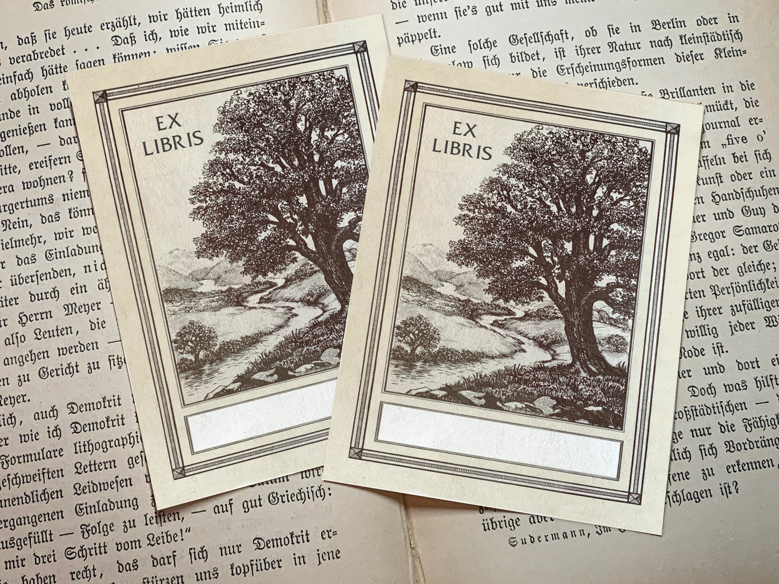 Oak and Stream, Personalized Ex-Libris Bookplates, Crafted on Traditional Gummed Paper, 3in x 4in, Set of 30