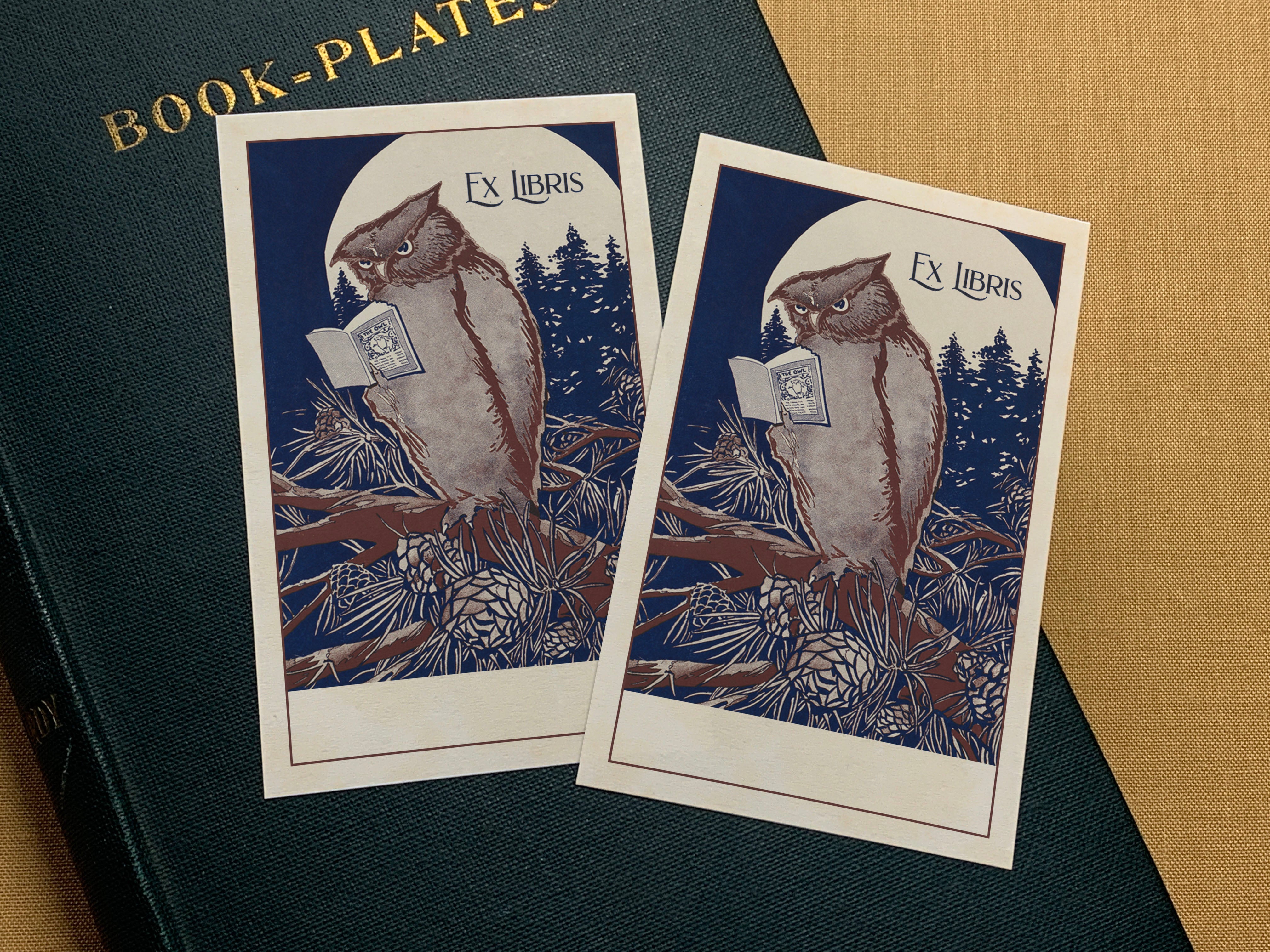 Owl Reading Book, Personalized Ex Libris Bookplates, Crafted on Traditional Gummed Paper, 3in x 4in, Set of 30