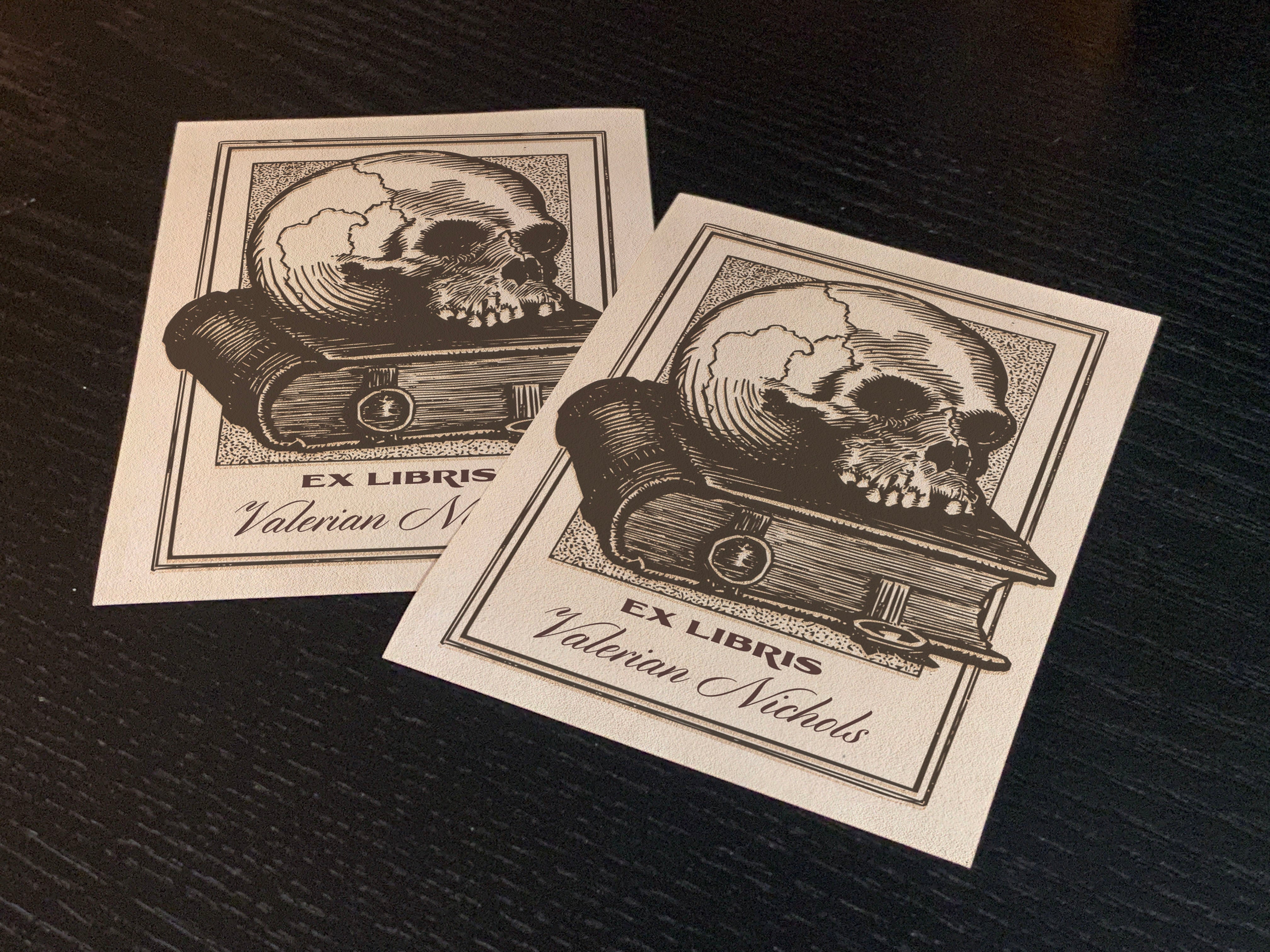 Skull and Tome, Dark Academia, Vanitas, Personalized Ex-Libris Bookplates, Crafted on Traditional Gummed Paper, 3in x 4in, Set of 30