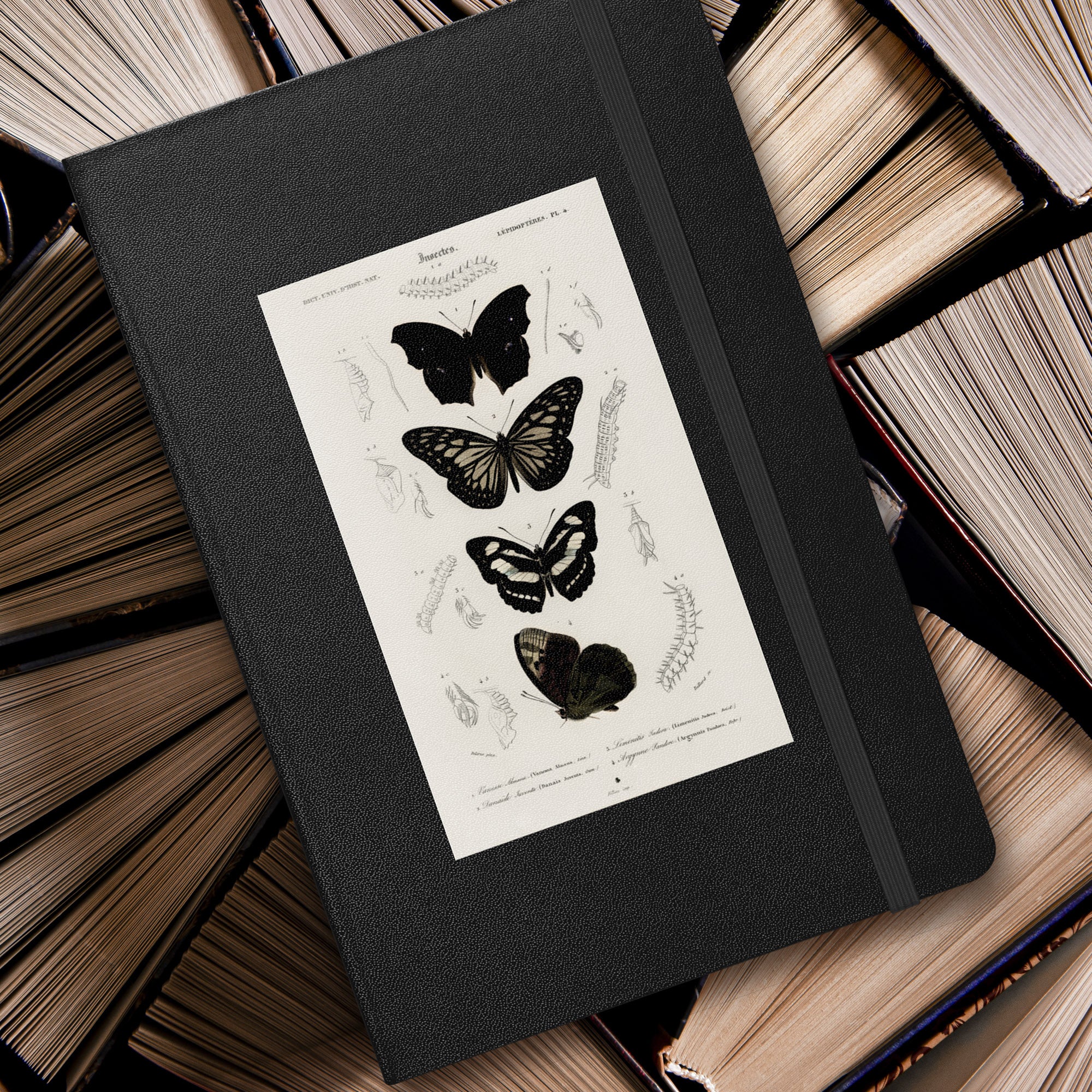 Black Butterflies, Hardcover Notebook/Journal/Idea Book, Lined