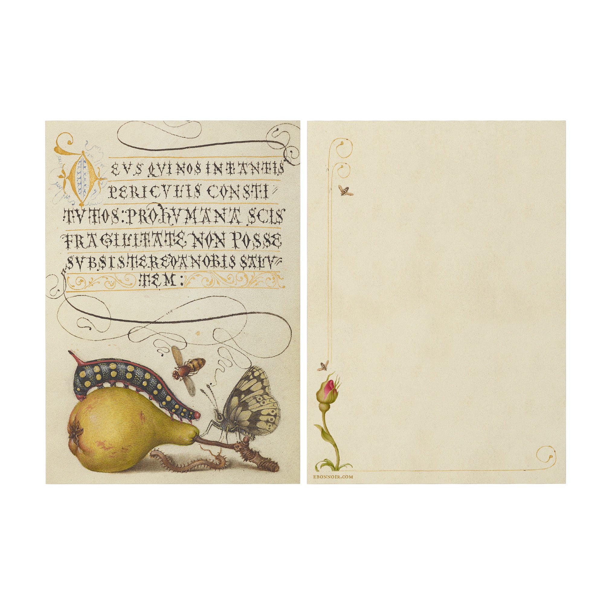 Model Book of Calligraphy, Fly, Caterpillar, Pear, and Centipede, 5in ...