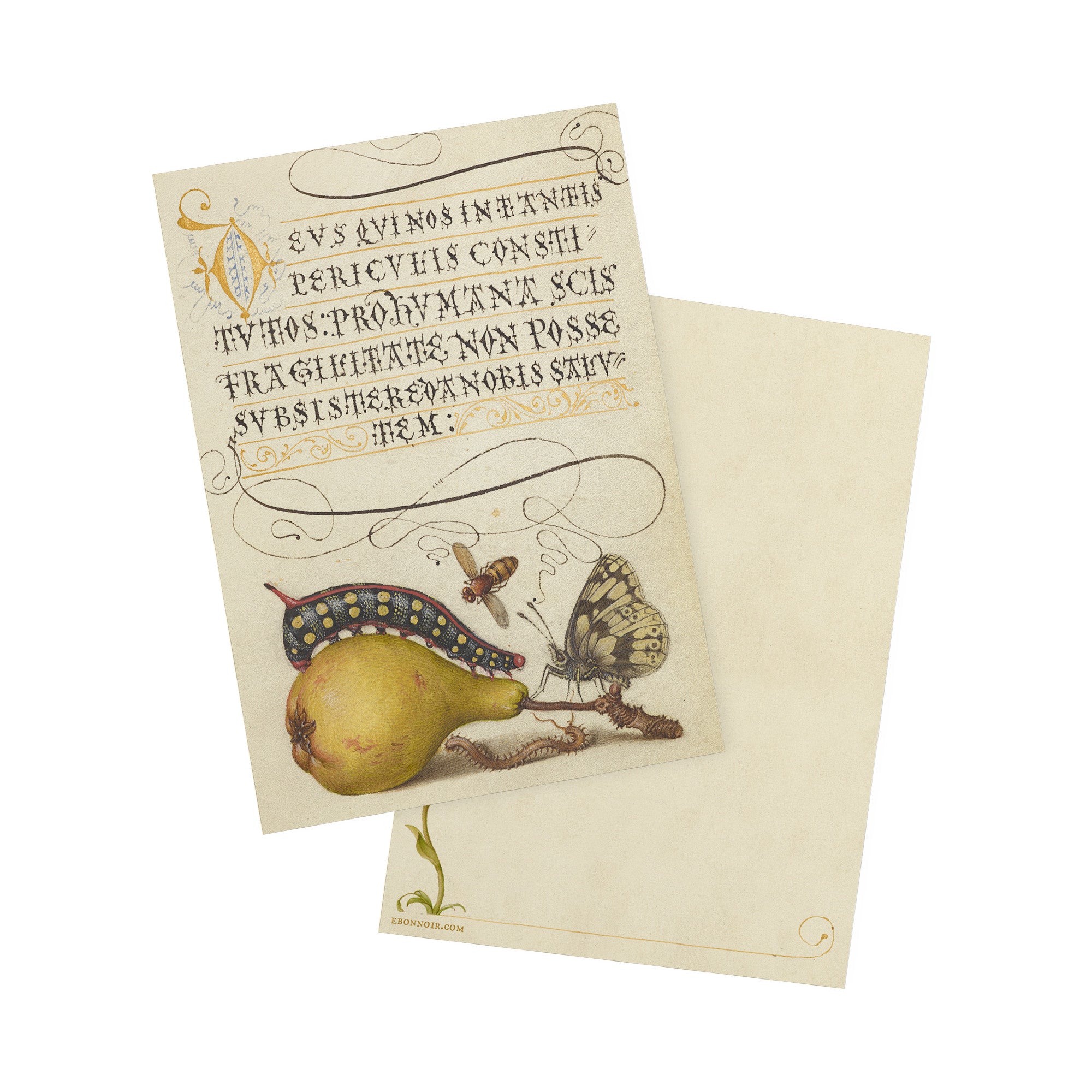 Model Book of Calligraphy, Fly, Caterpillar, Pear, and Centipede, 5in ...