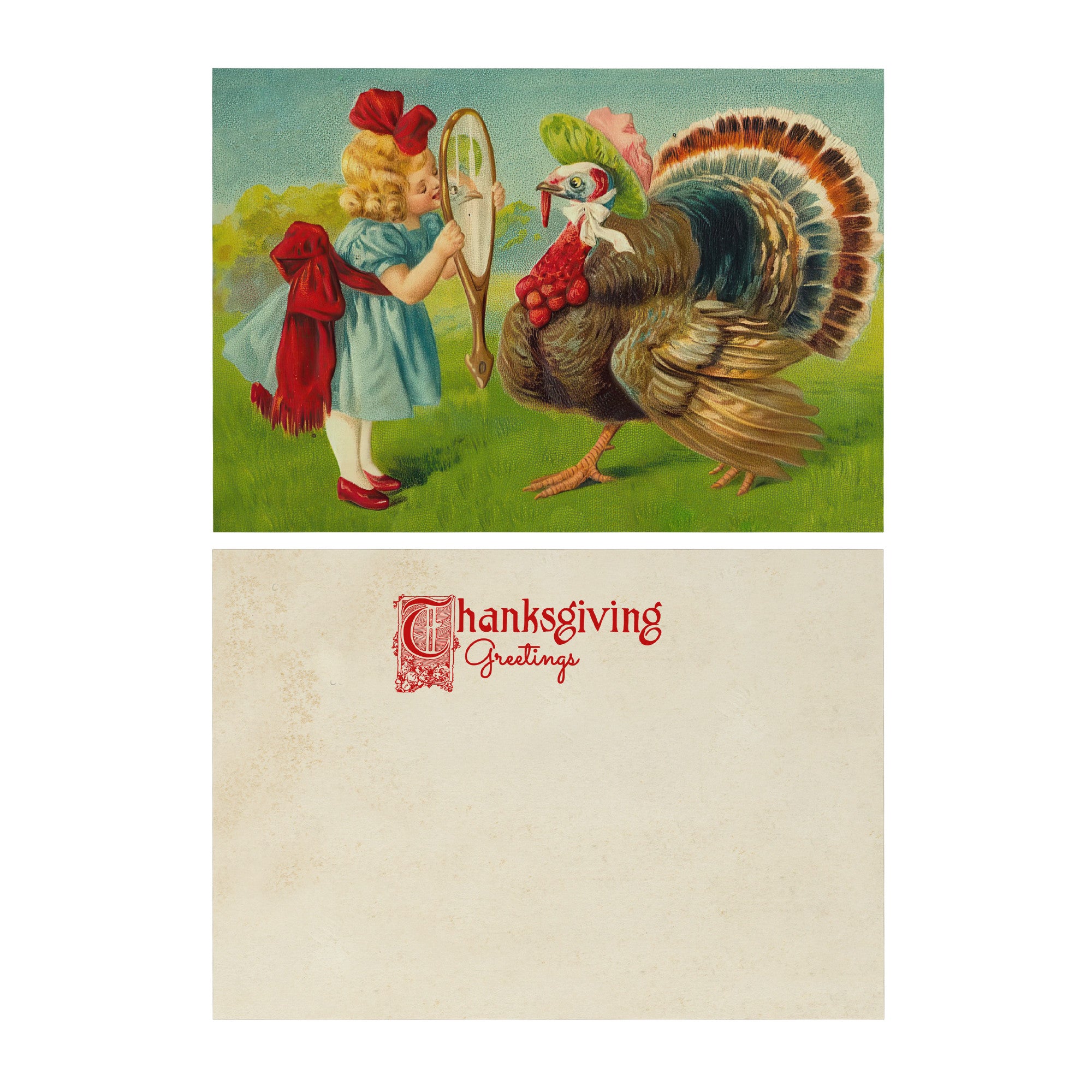 Turkey Reflection, Thanksgiving Greetings, Set of Flat Double-sided Cards, With White Envelopes, 5in x 7in