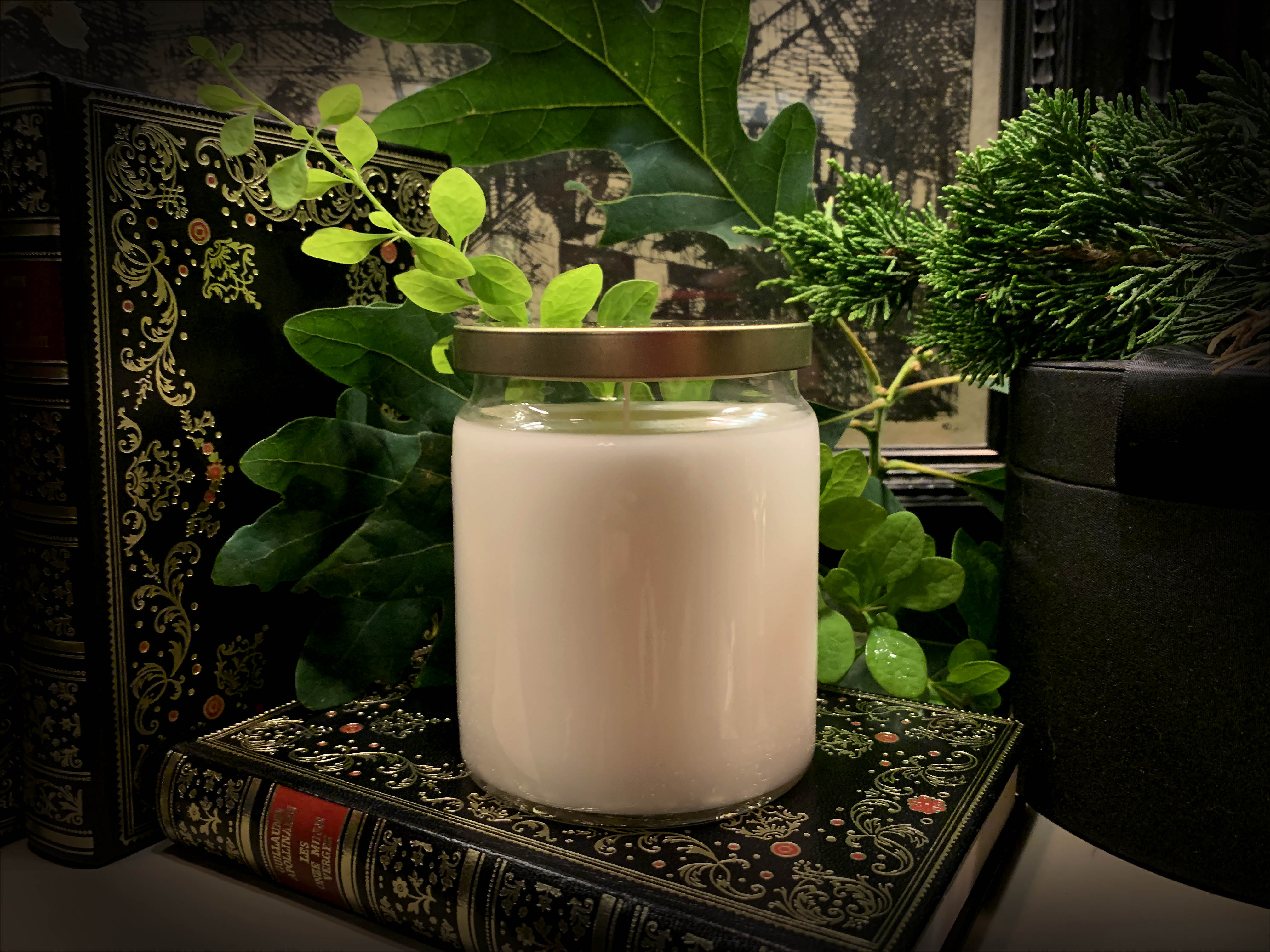 The Woman in White, Hand-Poured Coconut Soy Wax Candle in an Elegant Apothecary Jar with Gold Lid, White Birch Scent, 9oz