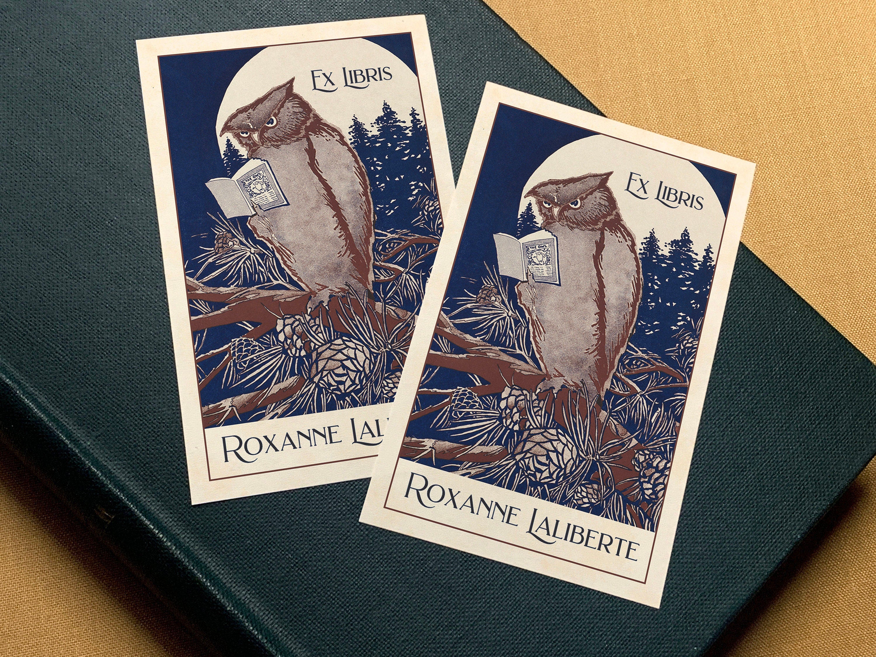 Owl Reading Book, Personalized Ex Libris Bookplates, Crafted on Traditional Gummed Paper, 3in x 4in, Set of 30