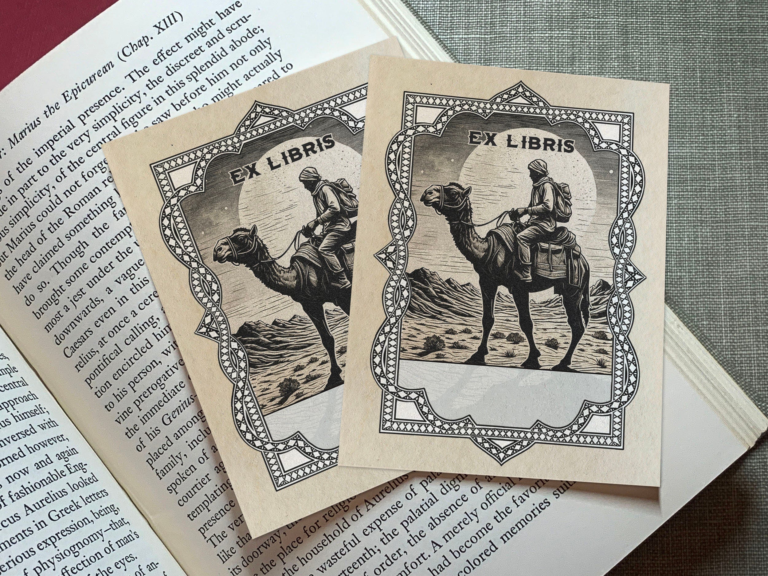 Desert Journey, Personalized Ex-Libris Bookplates, Crafted on Traditional Gummed Paper, 3in x 4in, Set of 30