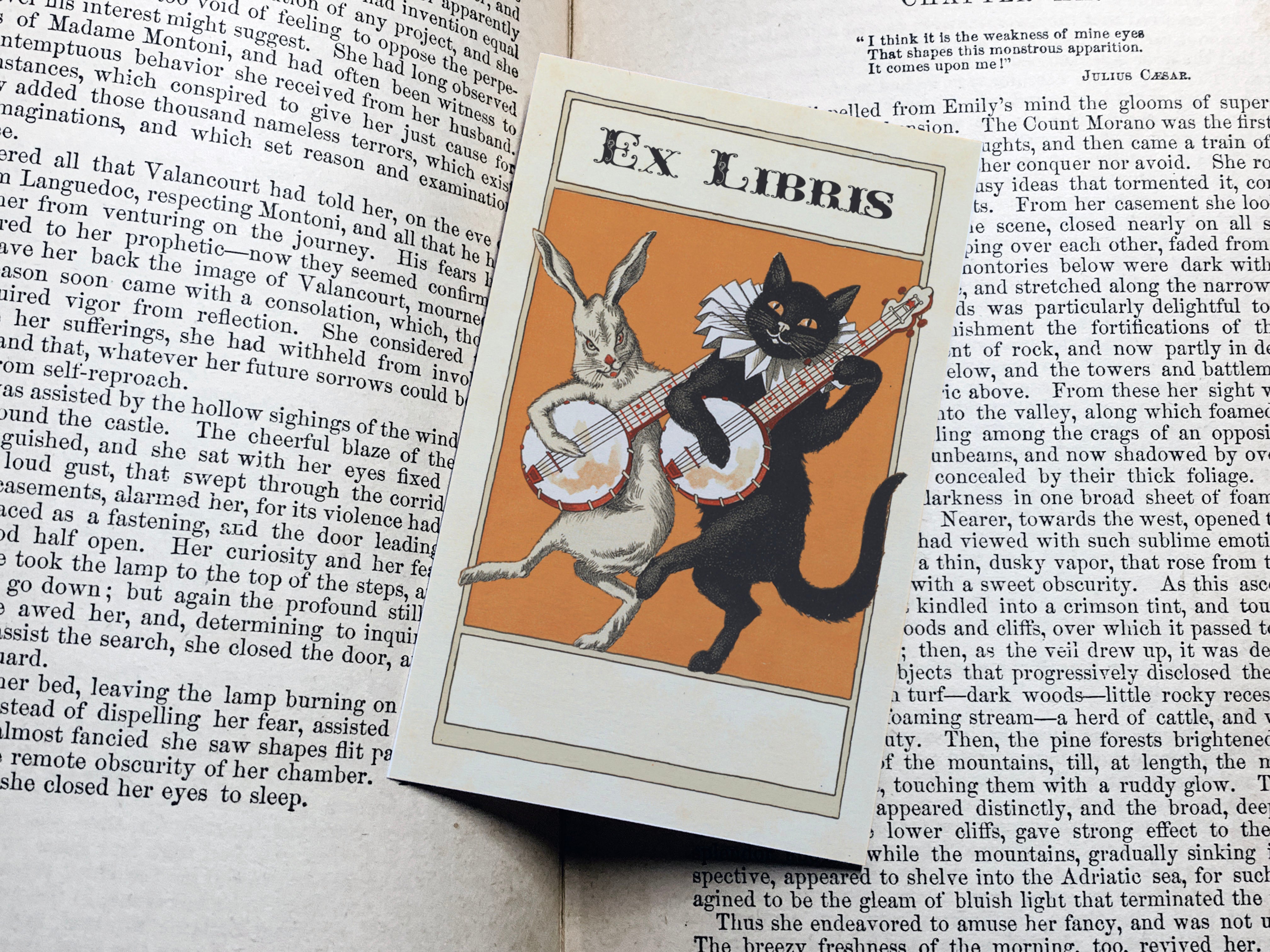 Banjo Cat and Rabbit, Personalized Ex-Libris Bookplates, Crafted on Traditional Gummed Paper, 2.5in x 4in, Set of 30