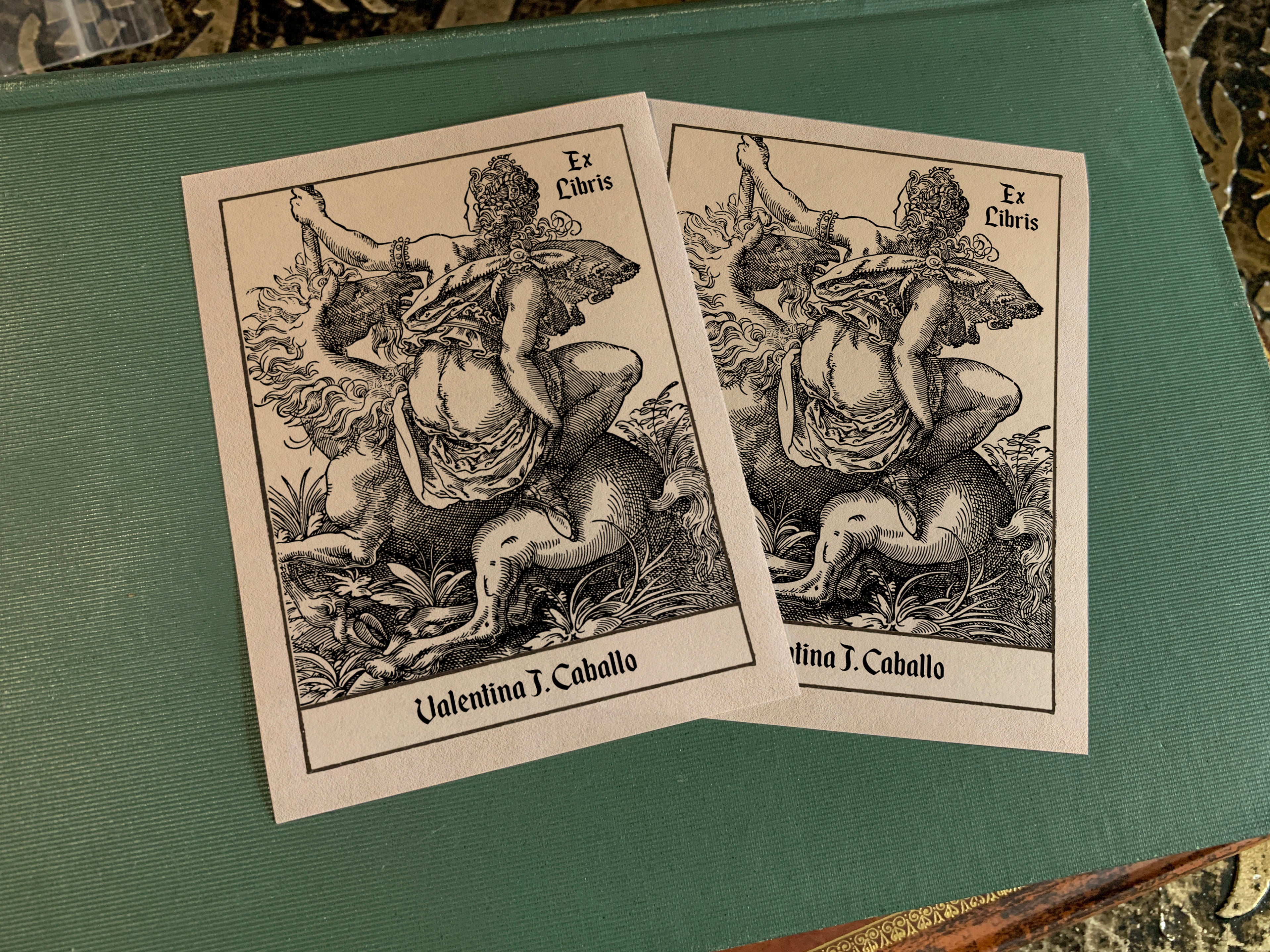 Woman and Unicorn, Personalized Erotic Ex-Libris Bookplates, Crafted on Traditional Gummed Paper, 3in x 4in, Set of 30