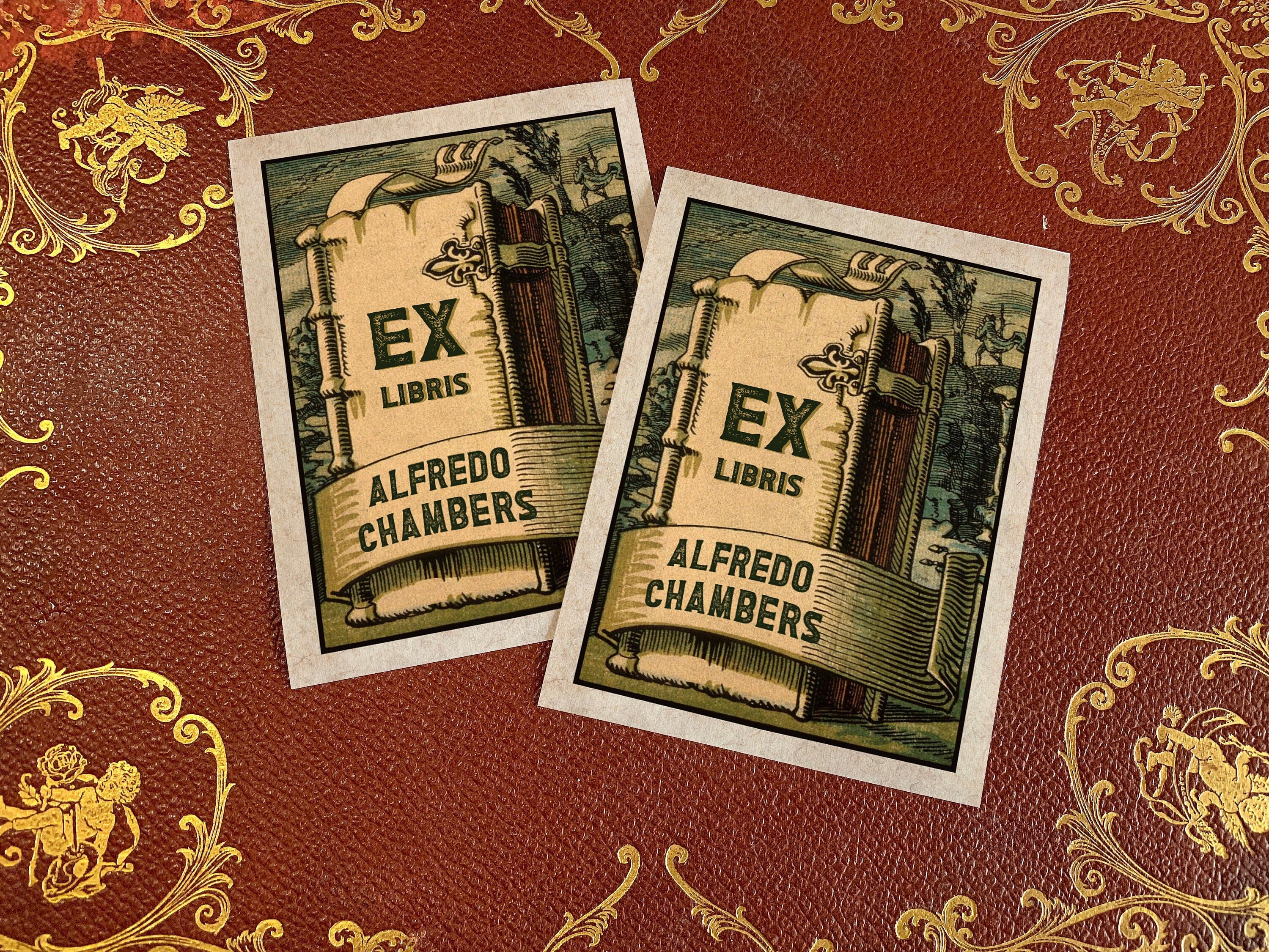 Fantasy Tome, Personalized Ex-Libris Bookplates, Crafted on Traditional Gummed Paper, 3in x 4in, Set of 30