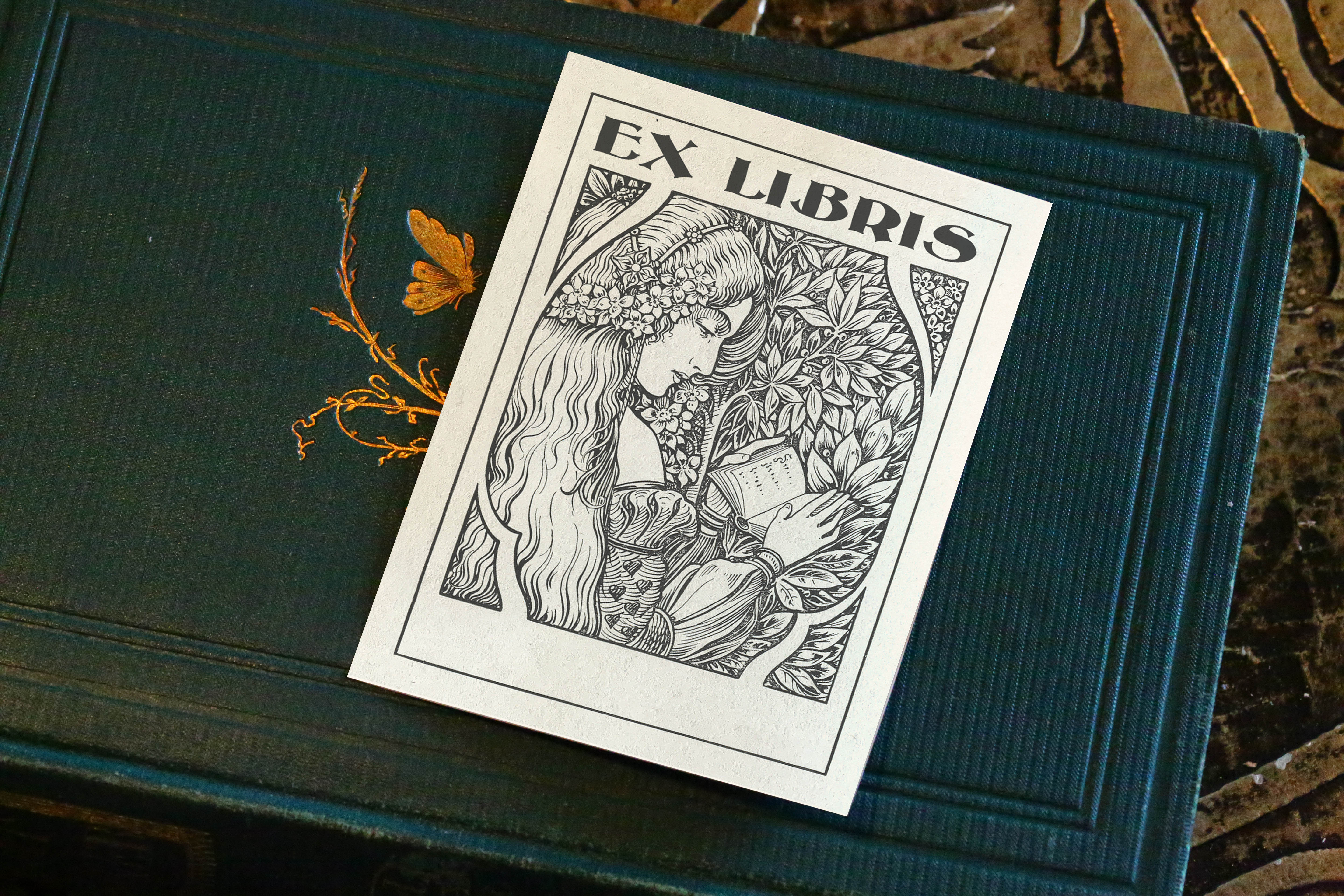 Princess Reading in the Garden, Personalized Ex-Libris Bookplates, Crafted on Traditional Gummed Paper, 3in x 4in, Set of 30