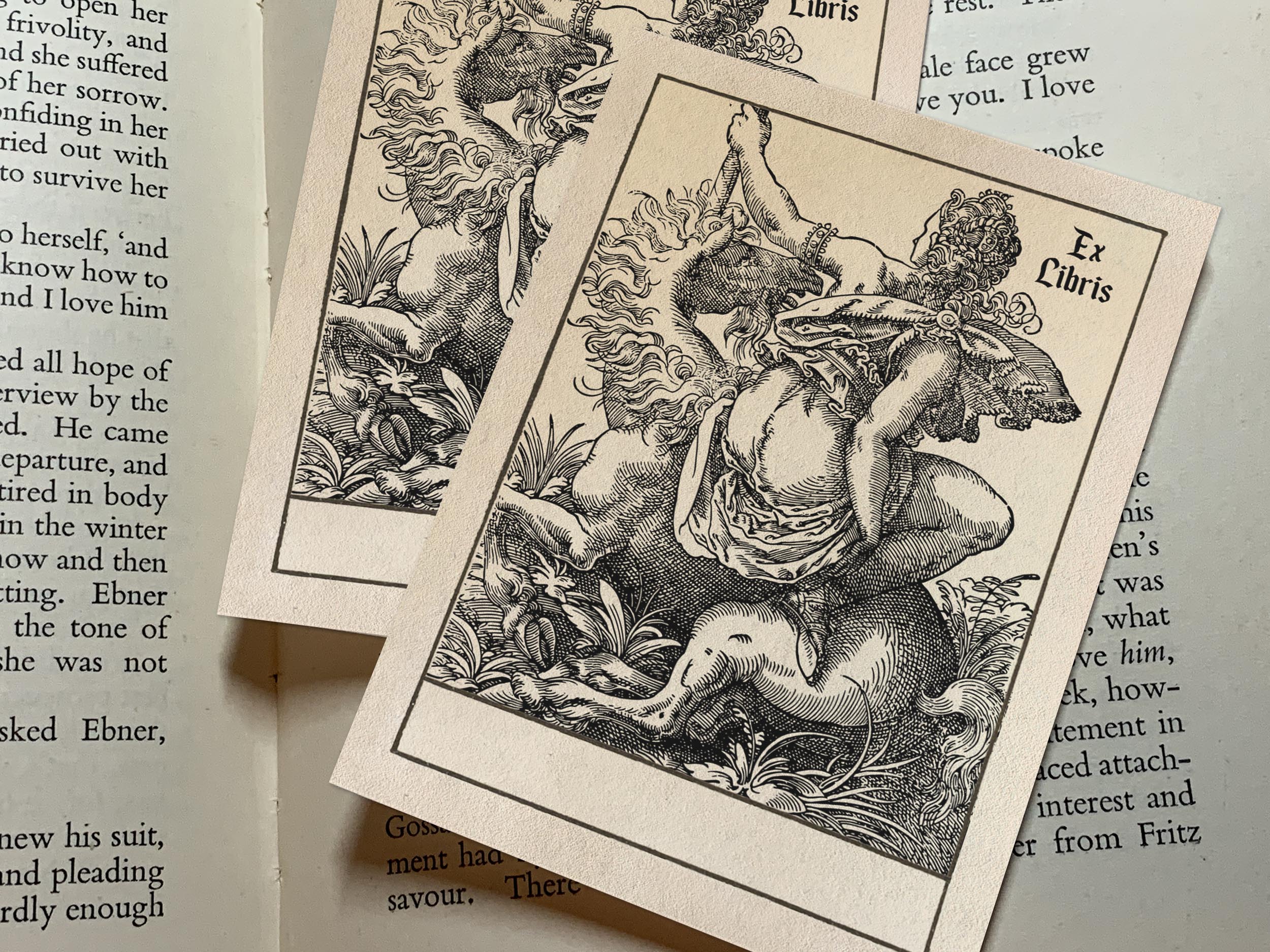 Woman and Unicorn, Personalized Erotic Ex-Libris Bookplates, Crafted on Traditional Gummed Paper, 3in x 4in, Set of 30