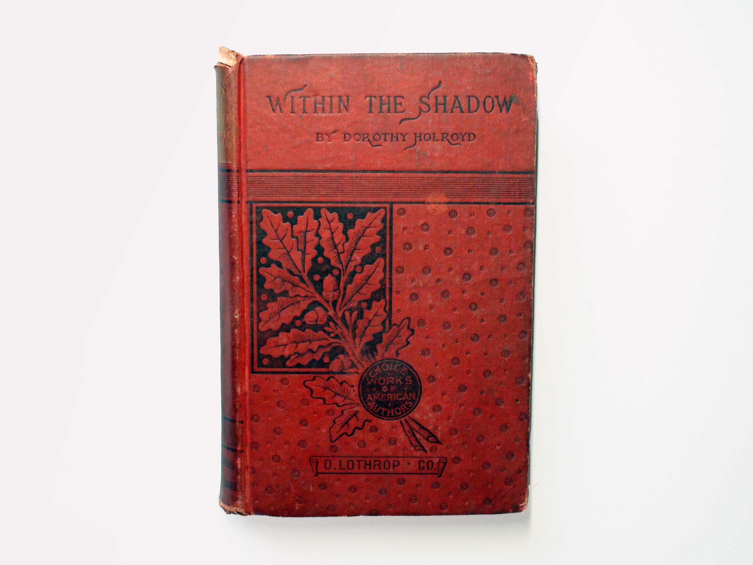 Within the Shadow by Dorothy Holroyd, D. Lothrop and Co., Scarce, 1884