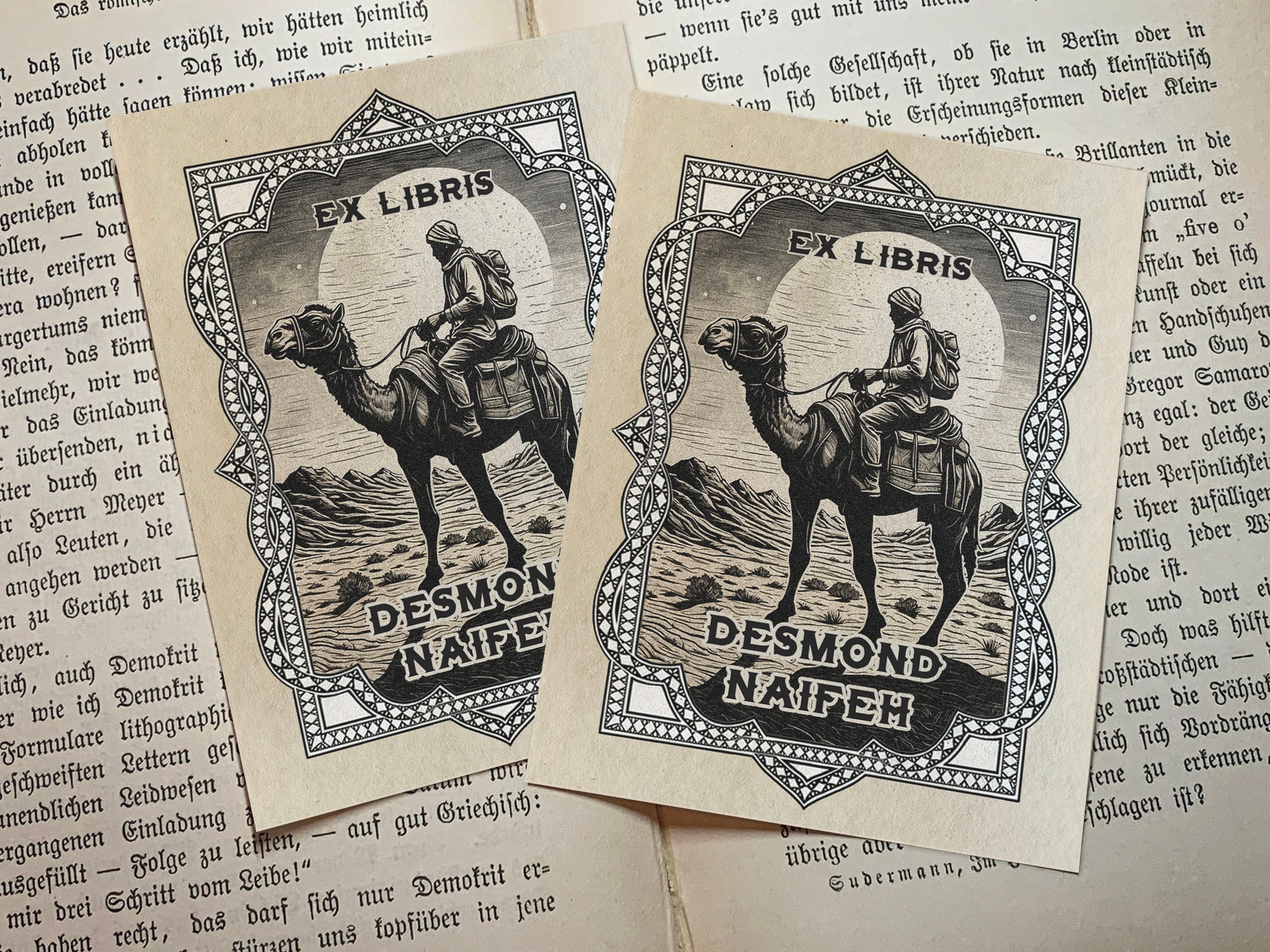 Desert Journey, Personalized Ex-Libris Bookplates, Crafted on Traditional Gummed Paper, 3in x 4in, Set of 30