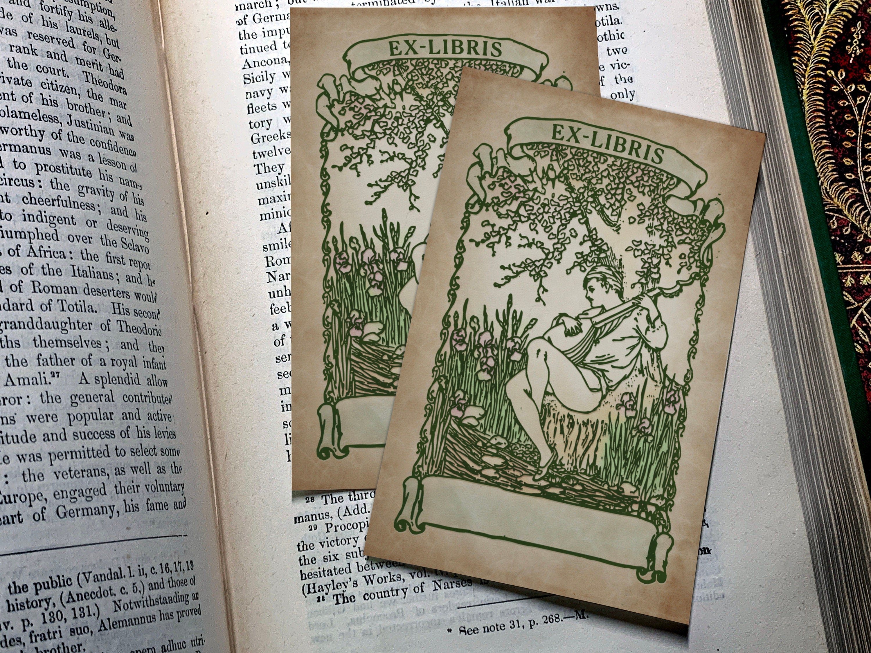 Bard with Lute, Personalized Ex-Libris Bookplates, Crafted on Traditional Gummed Paper, 2.5in x 4in, Set of 30