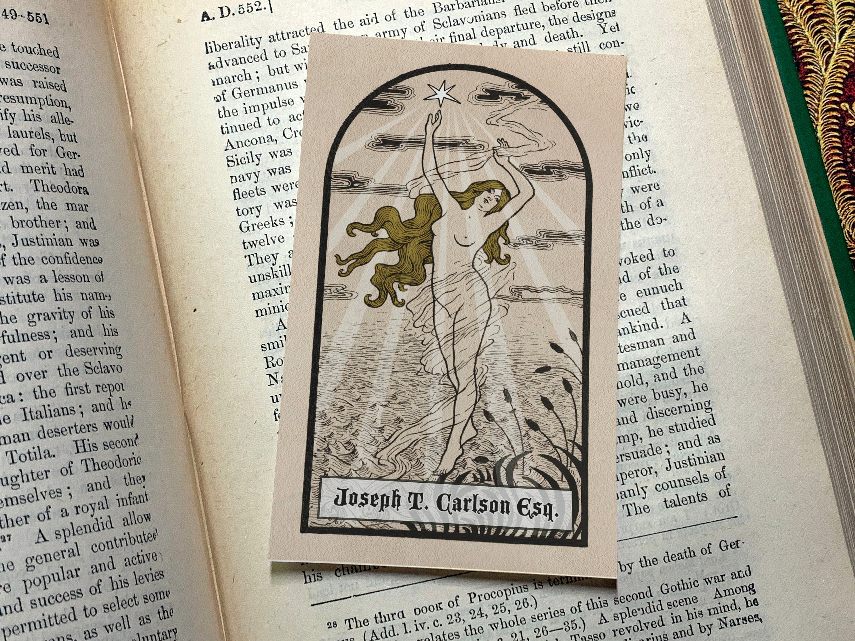 Starshine, Personalized Ex-Libris Bookplates, Crafted on Traditional Gummed Paper, 2.5in x 4in, Set of 30