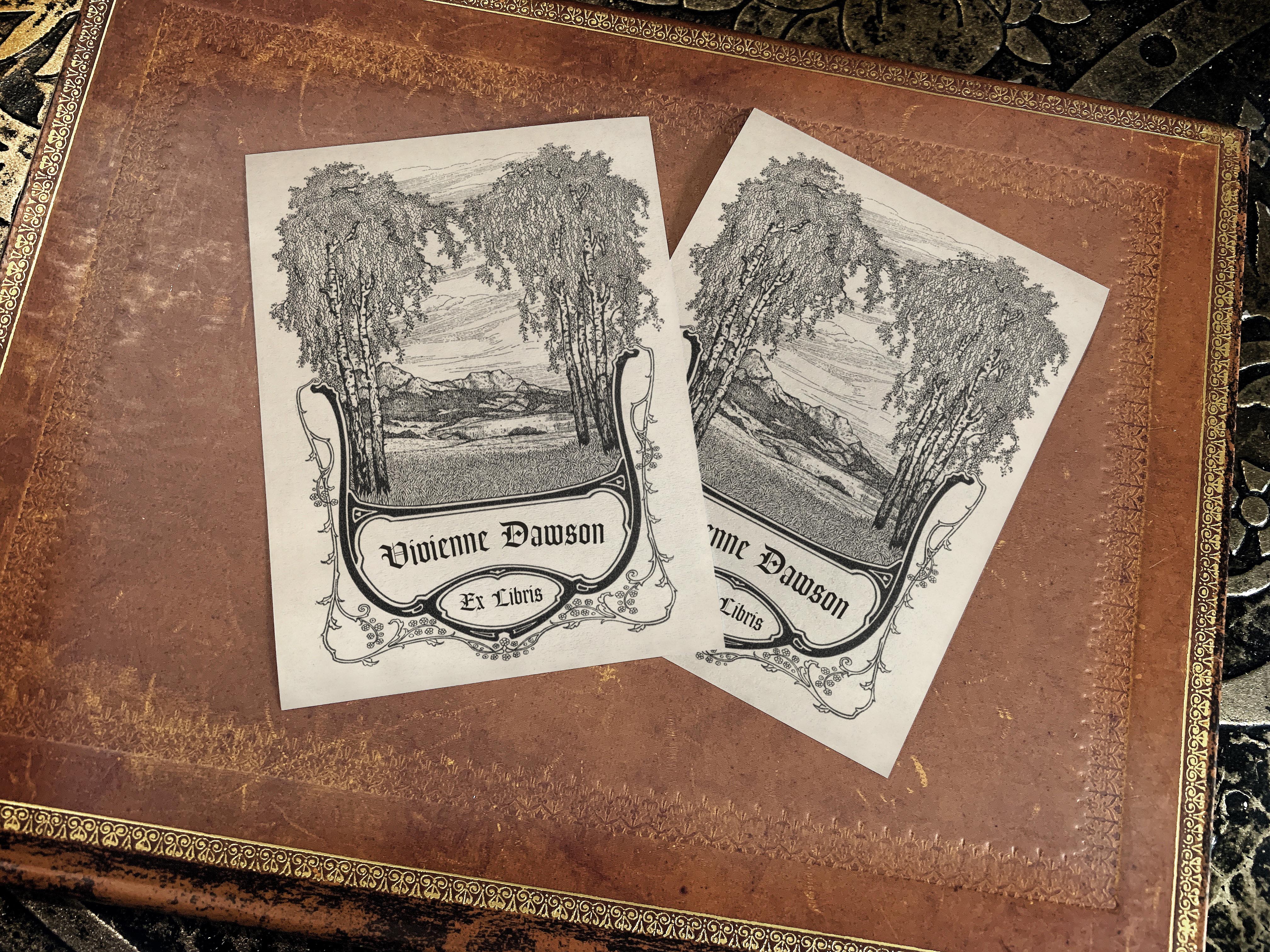 Mountain View, Personalized Ex-Libris Bookplates, Crafted on Traditional Gummed Paper, 3in x 4in, Set of 30