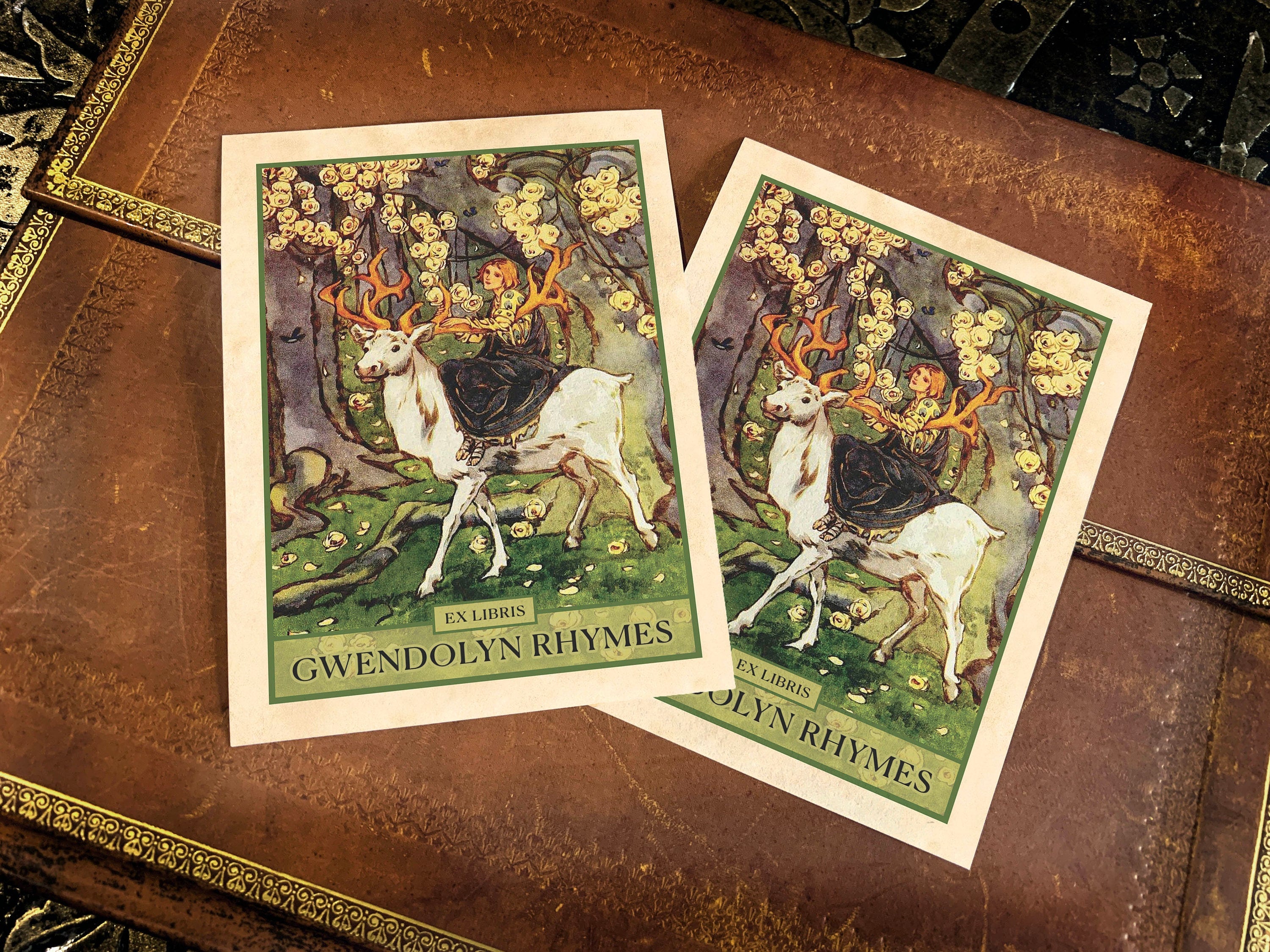 Girl Riding a Magical Stag, Fairytale Personalized Ex-Libris Bookplates, Crafted on Traditional Gummed Paper, 3in x 4in, Set of 30