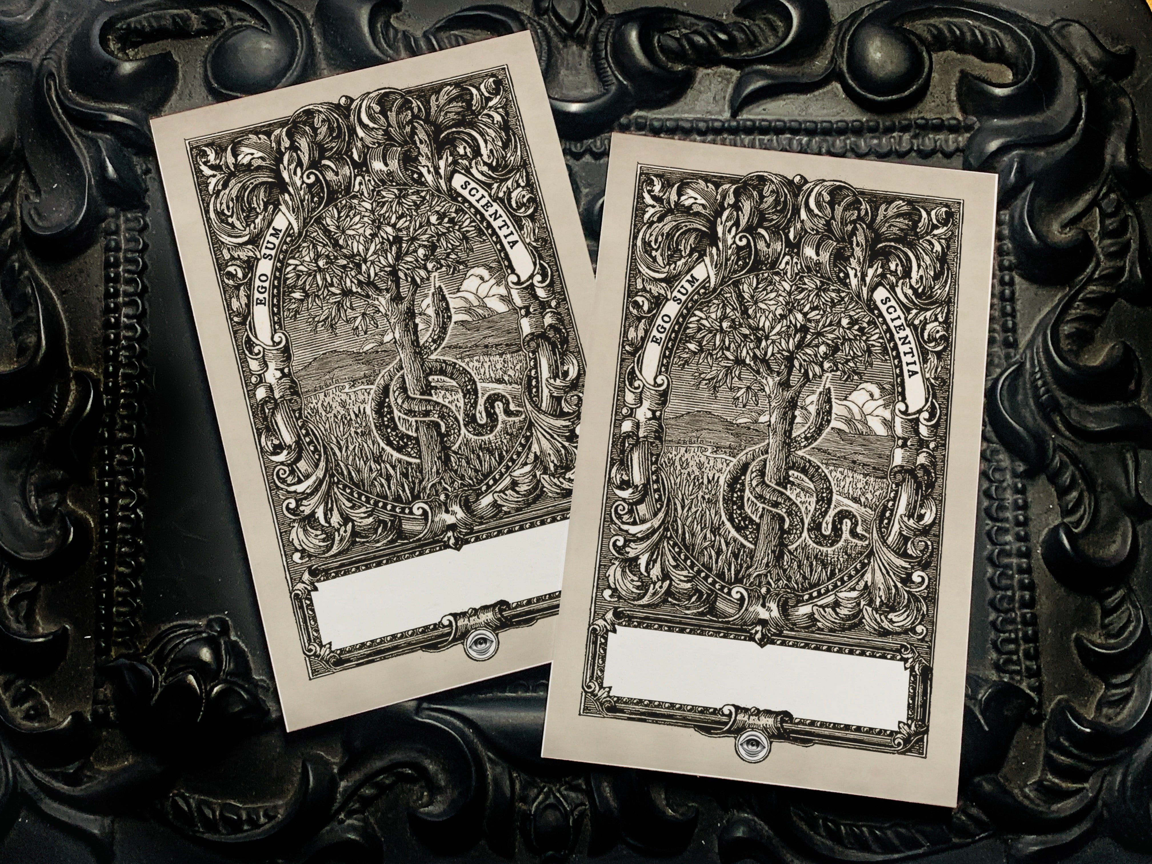 The Forbidden Tree, Personalized Ex-Libris Bookplates, Crafted on Traditional Gummed Paper, 4in x 2.5in, Set of 30