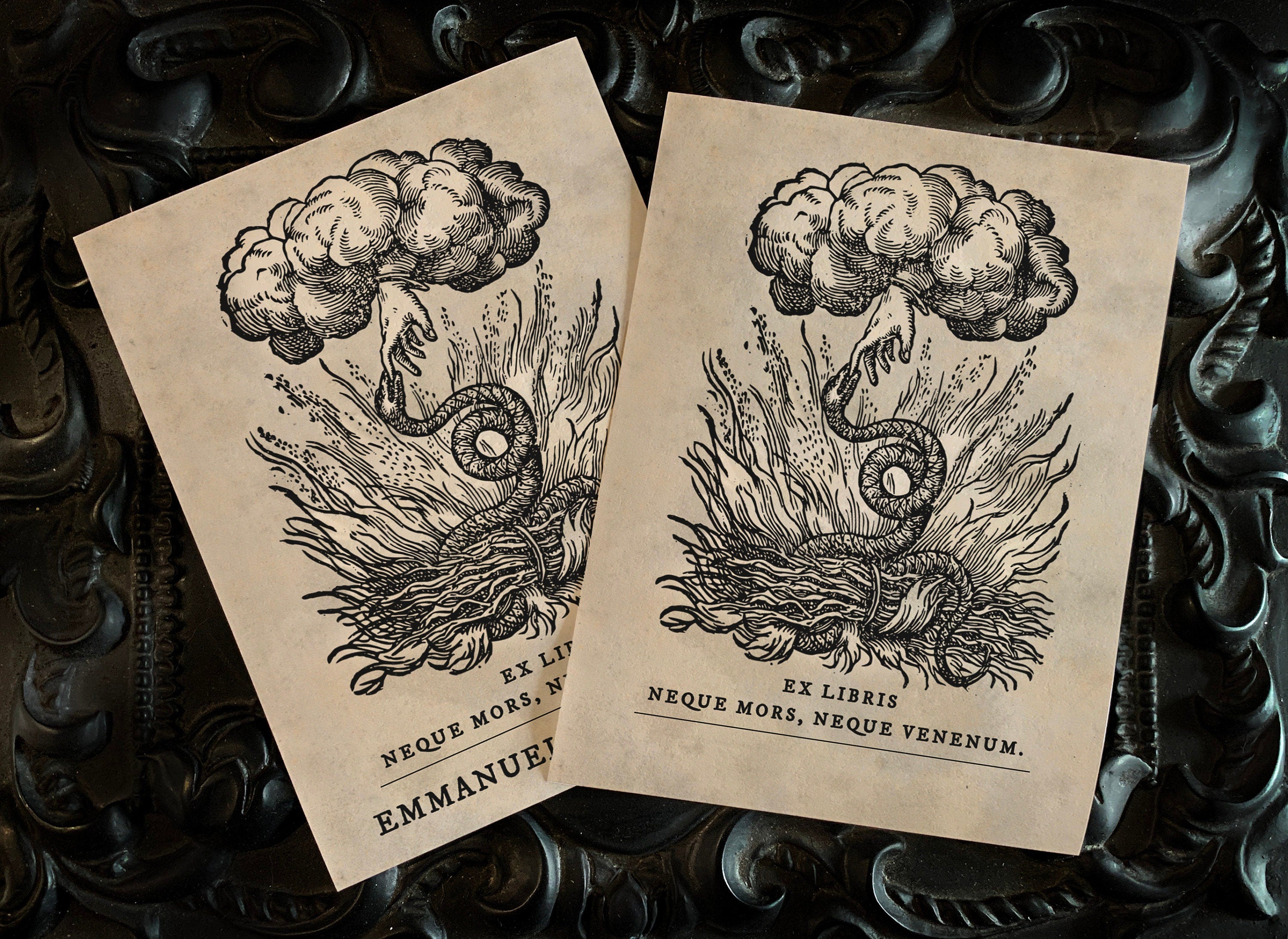 Hand of God, Dark Academia, Personalized Ex-Libris Bookplates, Crafted on Traditional Gummed Paper, 4in x 2.5in, Set of 30